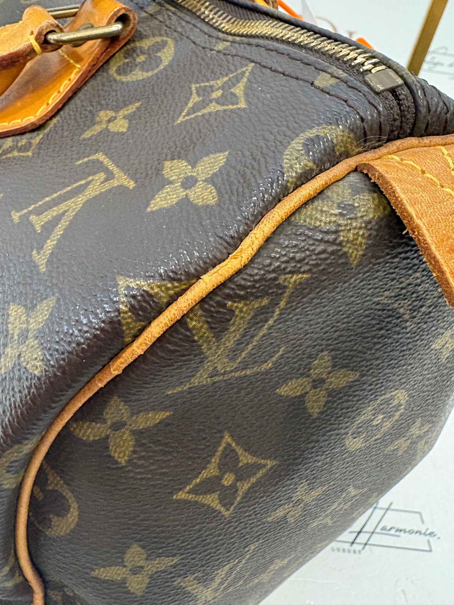 017646 - Louis Vuitton Speedy 30