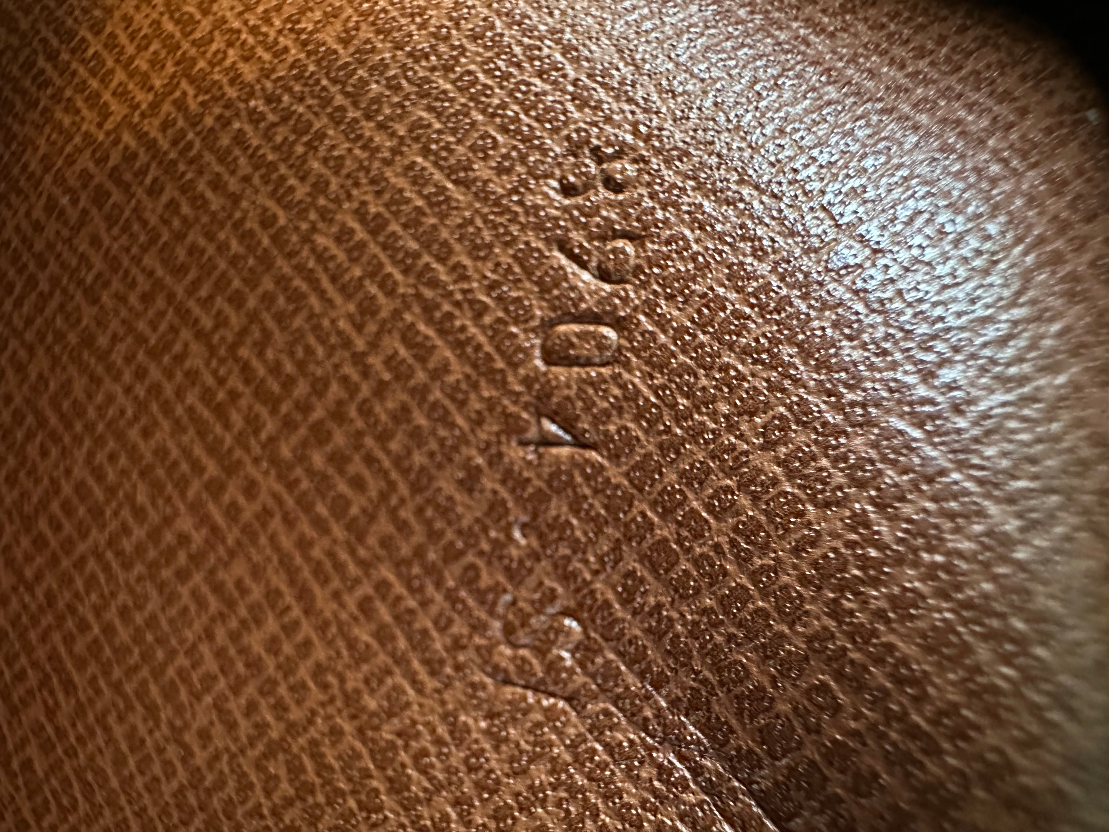 Louis Vuitton Mini Danube