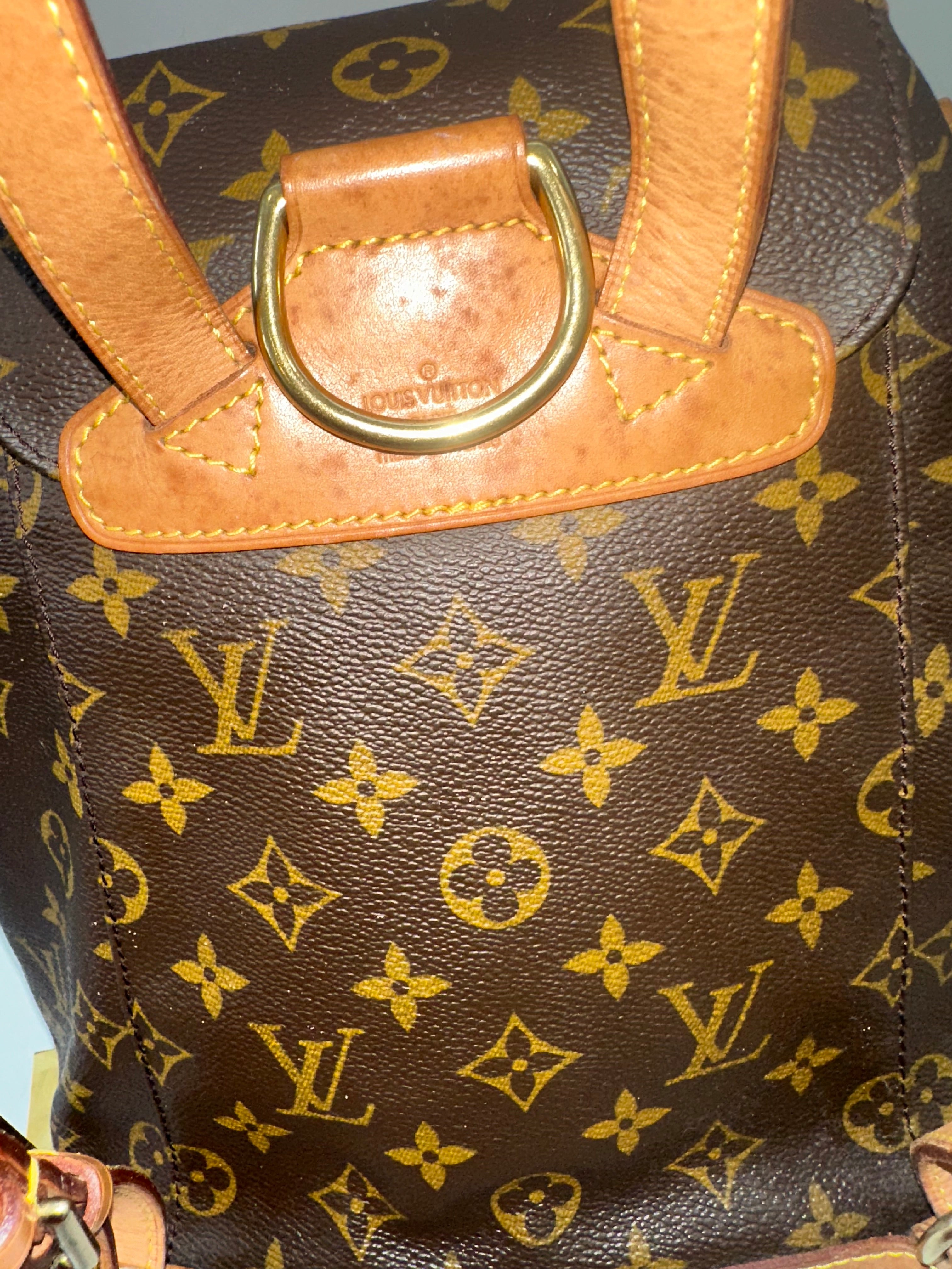 Louis Vuitton Montsouris mm