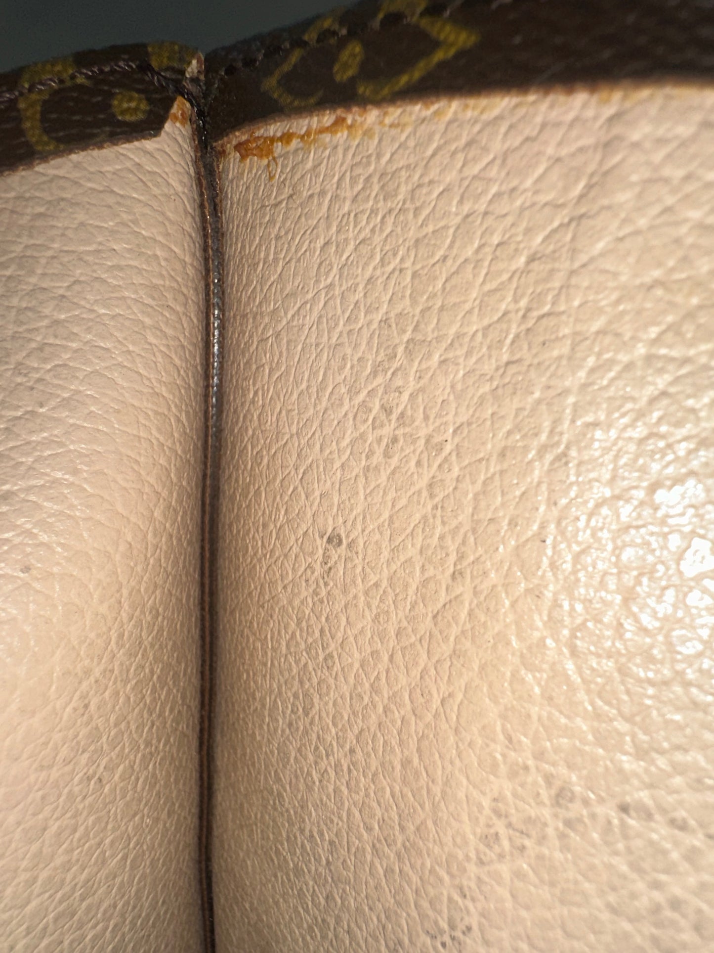 Louis Vuitton Sac Plat