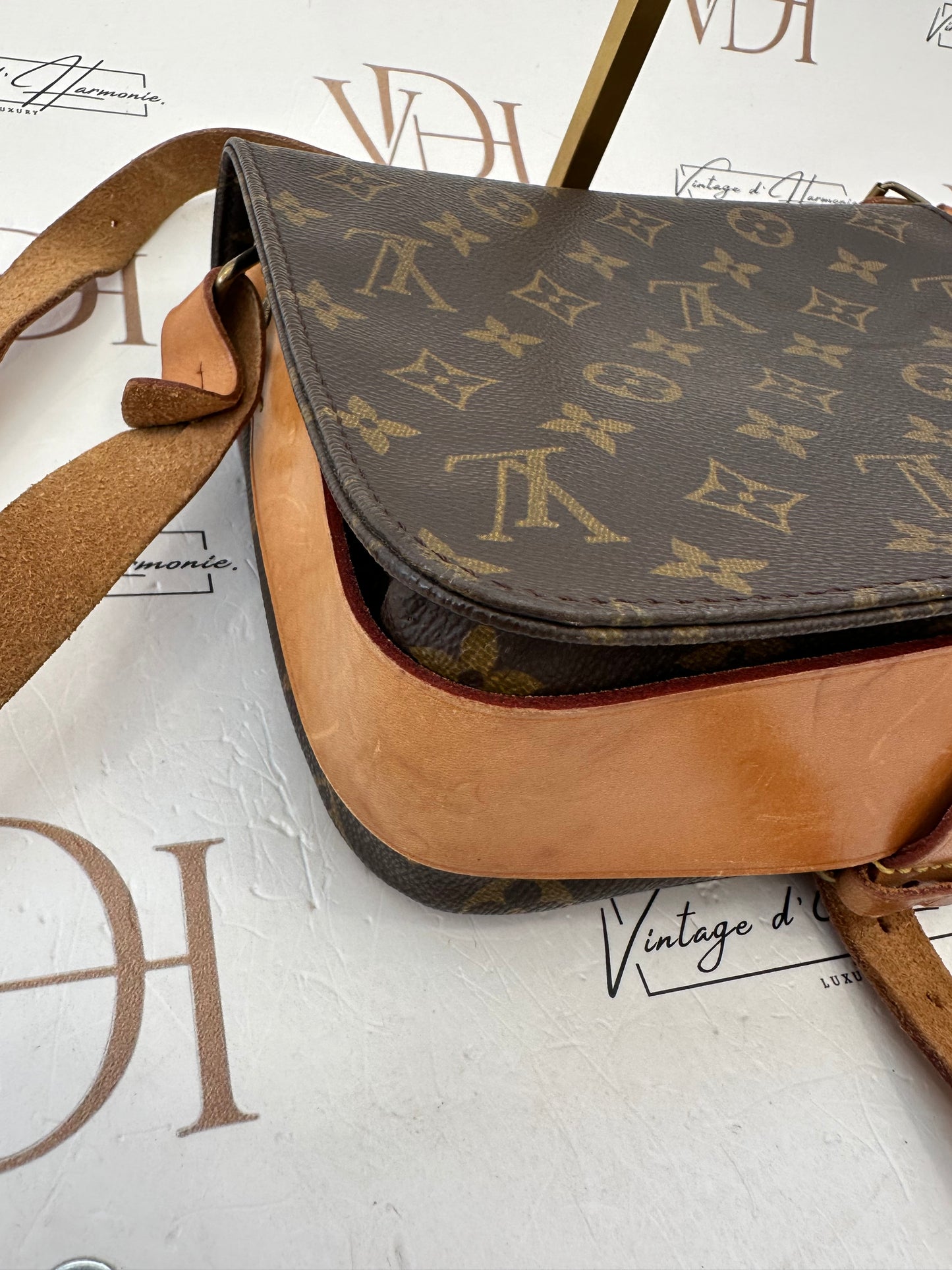 017827 - Louis Vuitton Cartouchiere MM