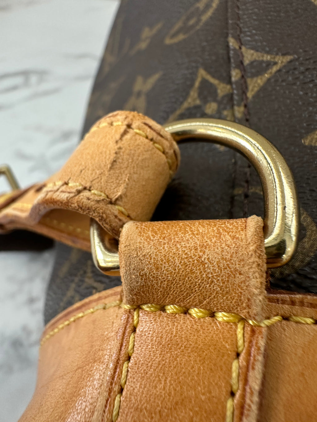 Louis Vuitton Montsouris GM