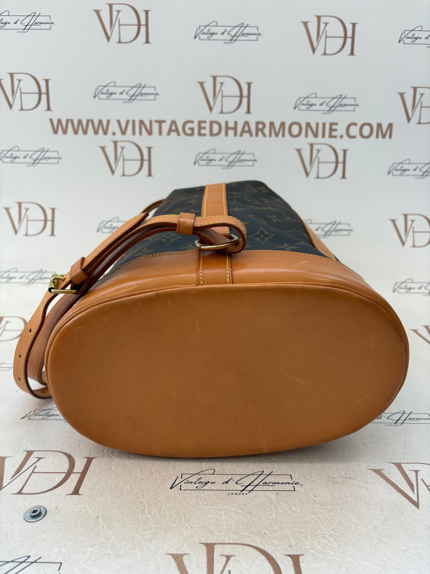 018345 - Louis Vuitton Randonne PM