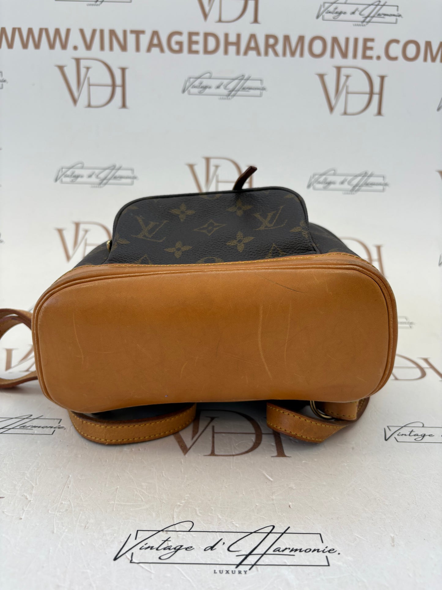 018858 - Louis Vuitton Mini Montsouris