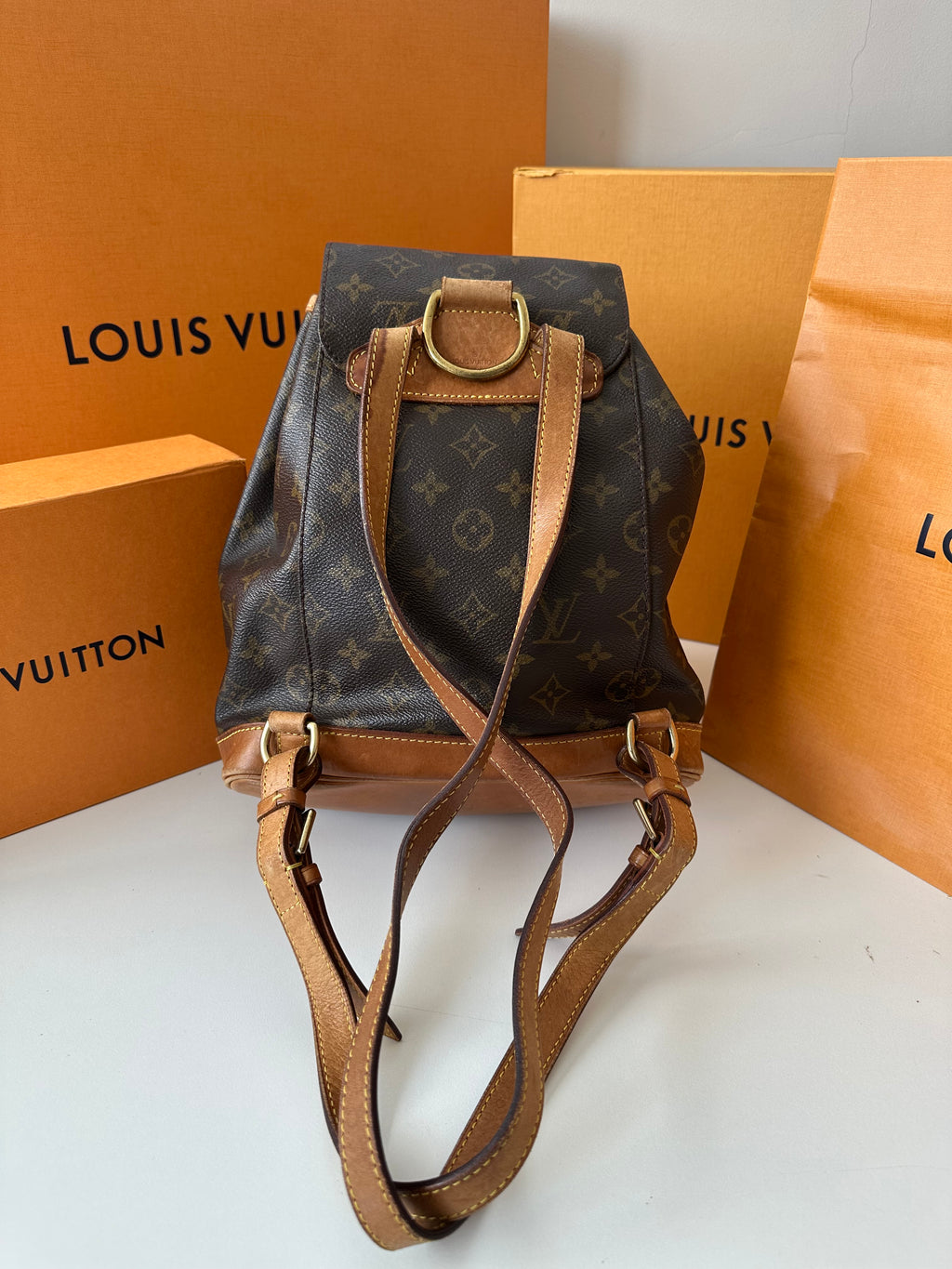 Louis Vuitton Montsouris MM