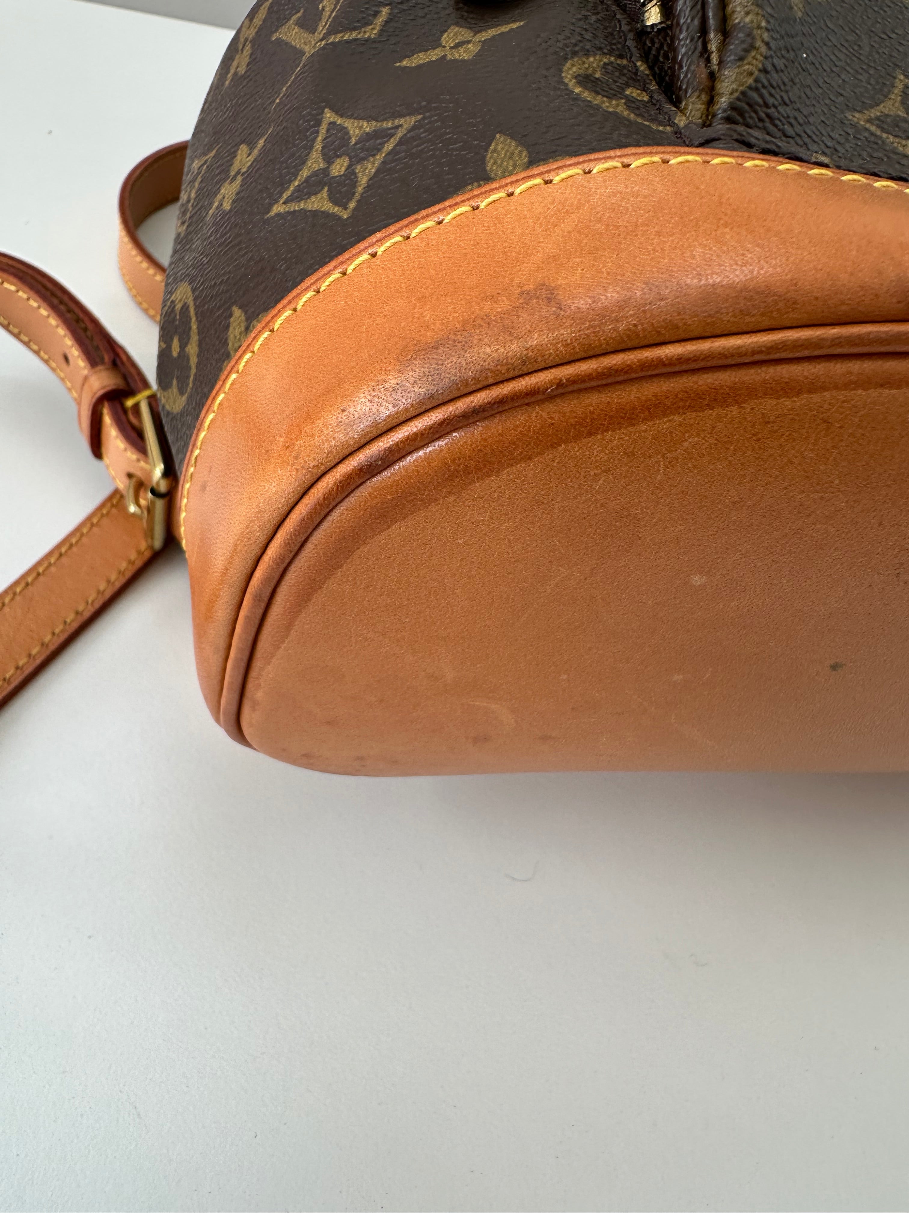 Louis Vuitton Montsouris MM