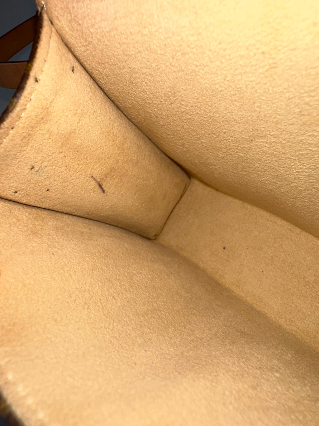 Louis Vuitton Florentine