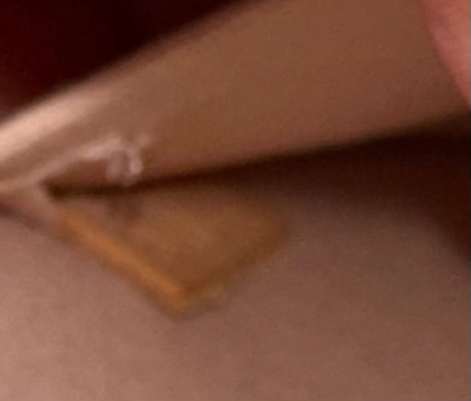 Louis Vuitton Alma Vernis Beige