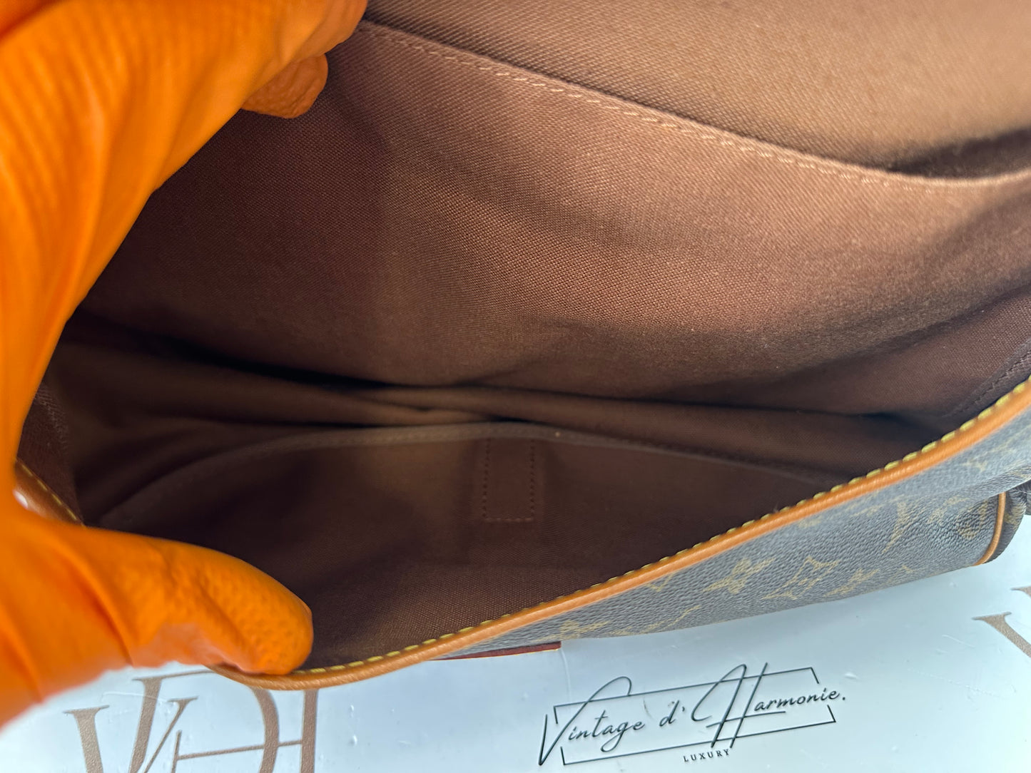 018125 - Louis Vuitton Saumur 35