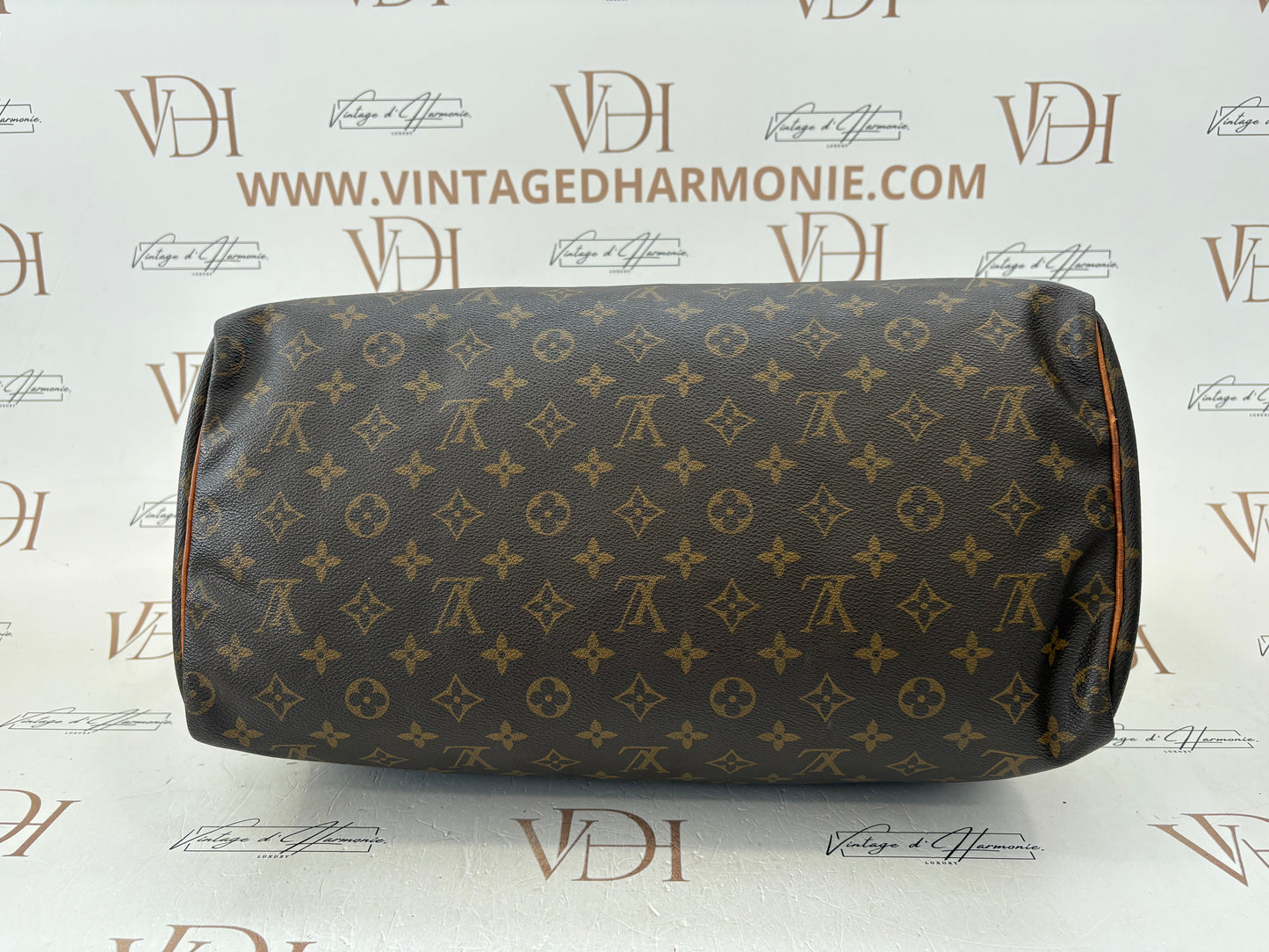 018987 - Louis Vuitton Speedy 40