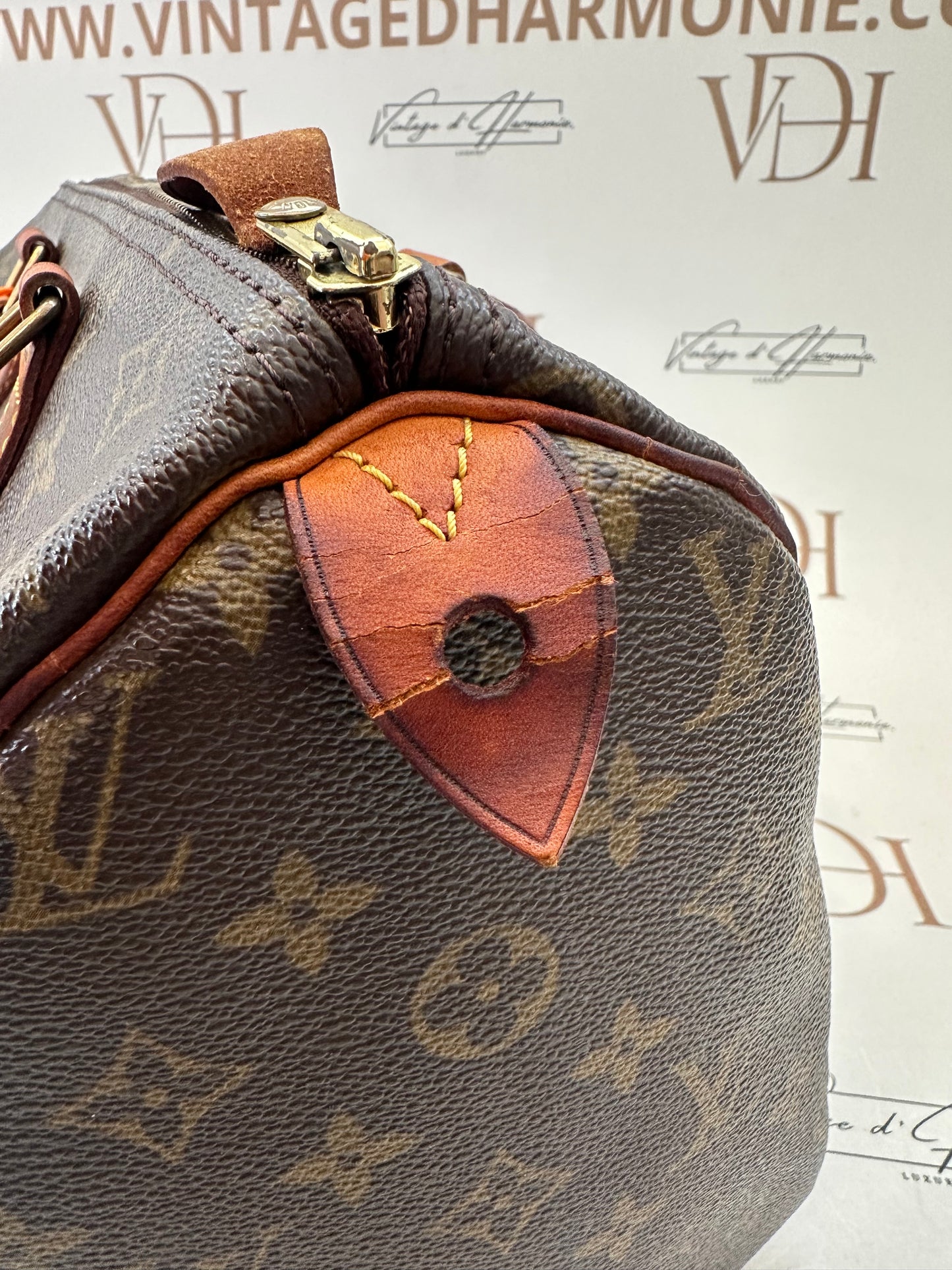 016863 - Louis Vuitton Speedy 30