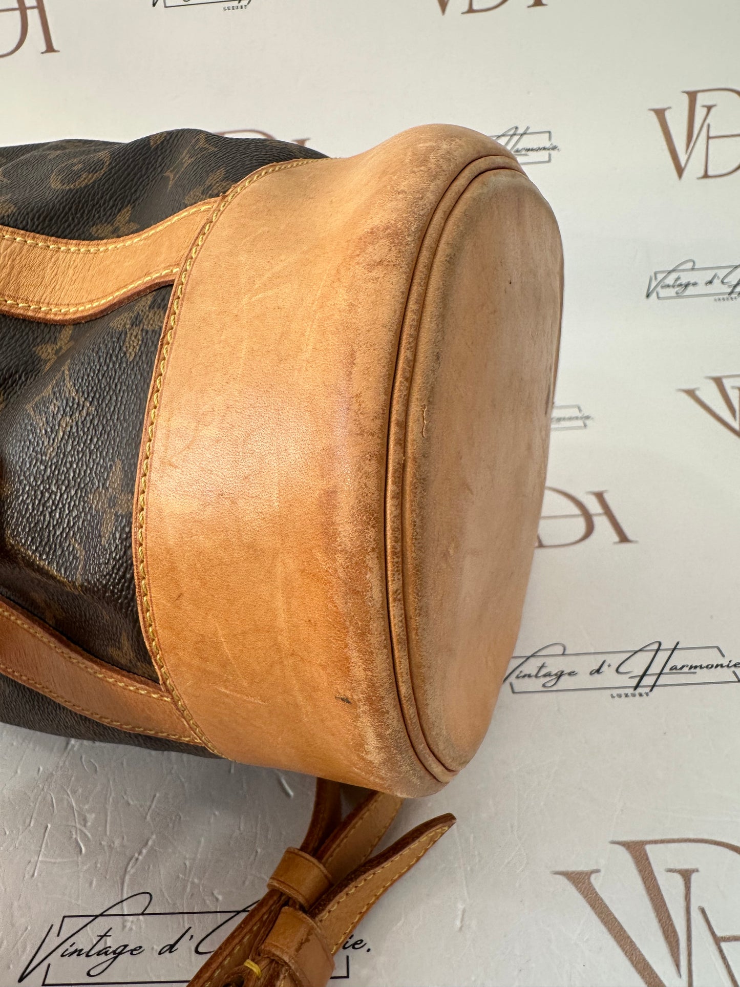 017806 - Louis Vuitton Randonne PM