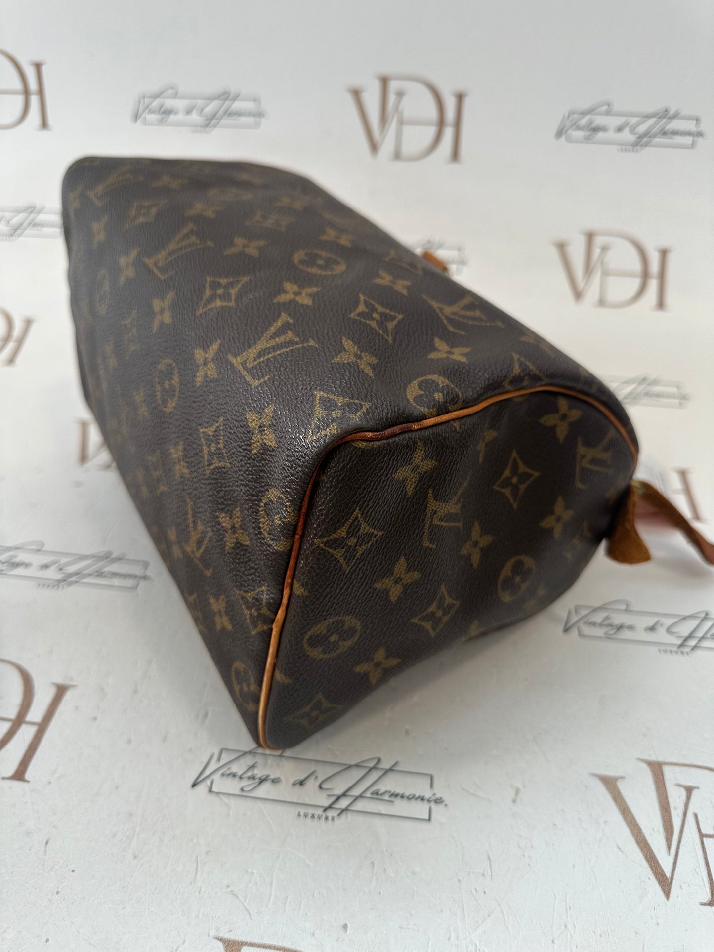 018033 - Louis Vuitton Speedy 25