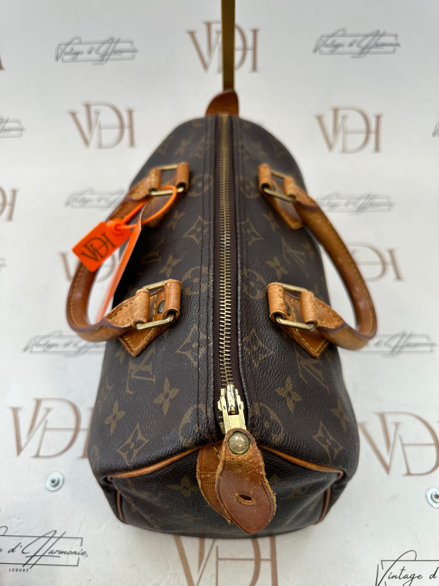 018751 - Louis Vuitton Speedy 25