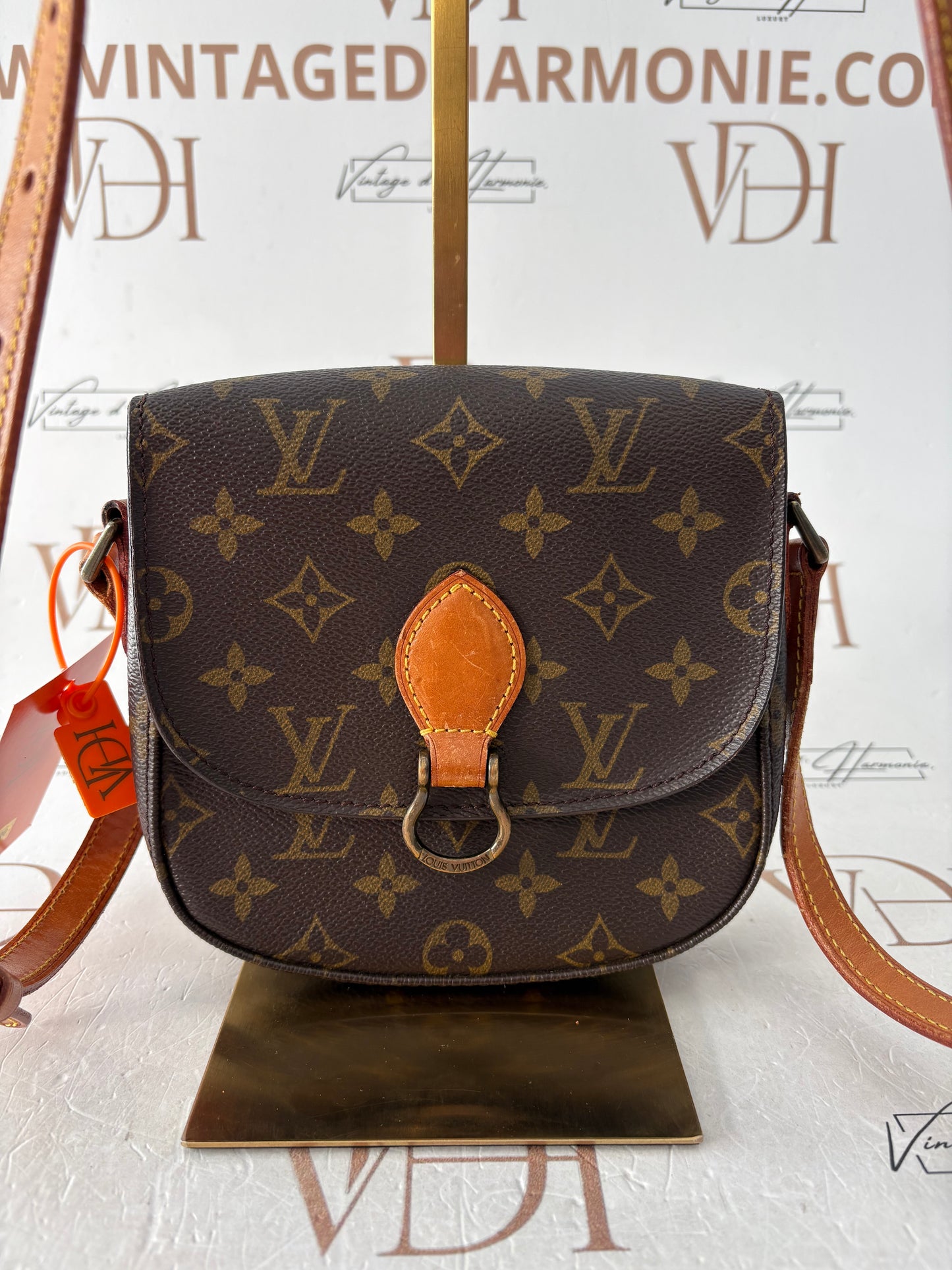 018920 - Louis Vuitton Saint Cloud PM