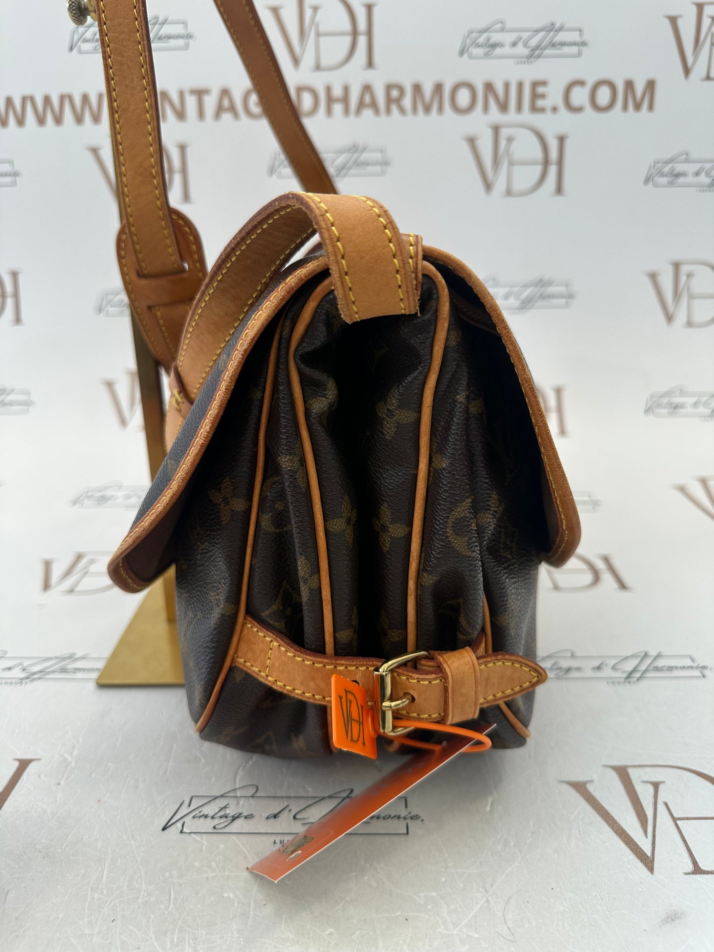 017887 - Louis Vuitton Saumur 30