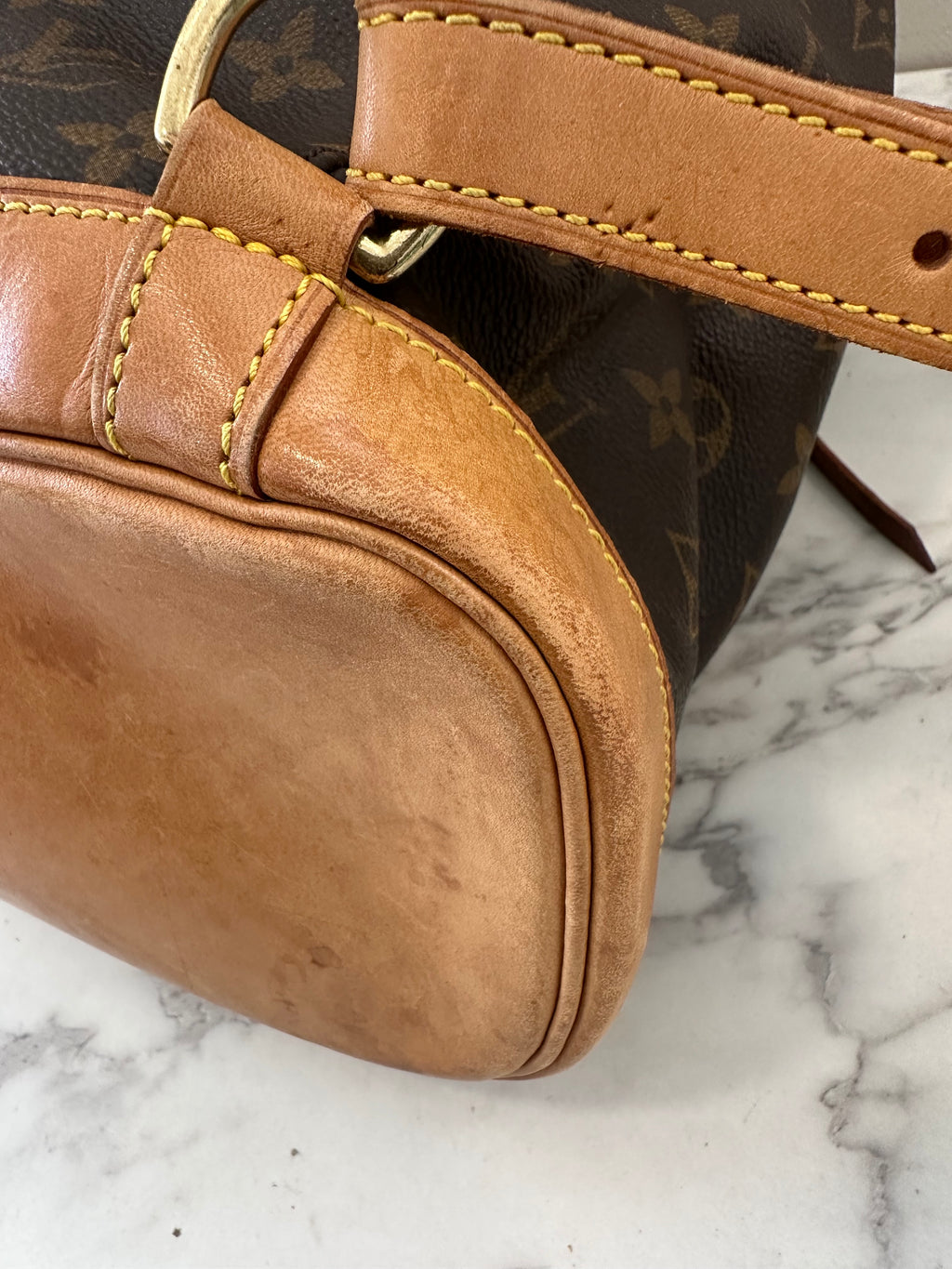 Louis Vuitton Montsouris GM