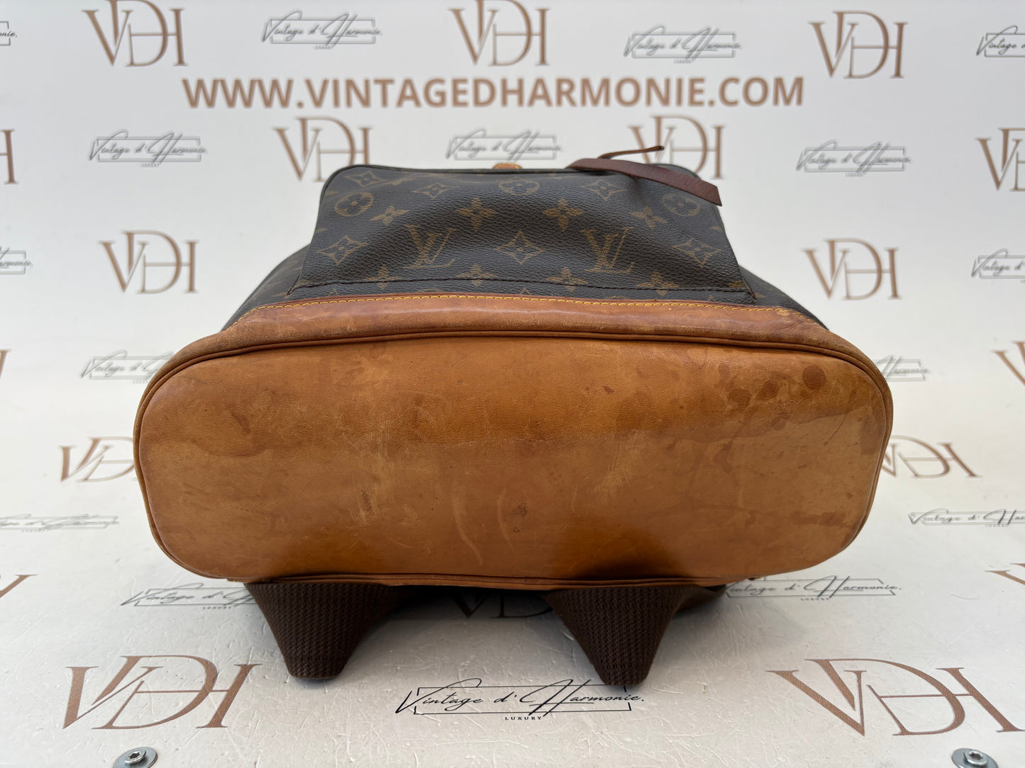 018121 - Louis Vuitton Montsouris GM