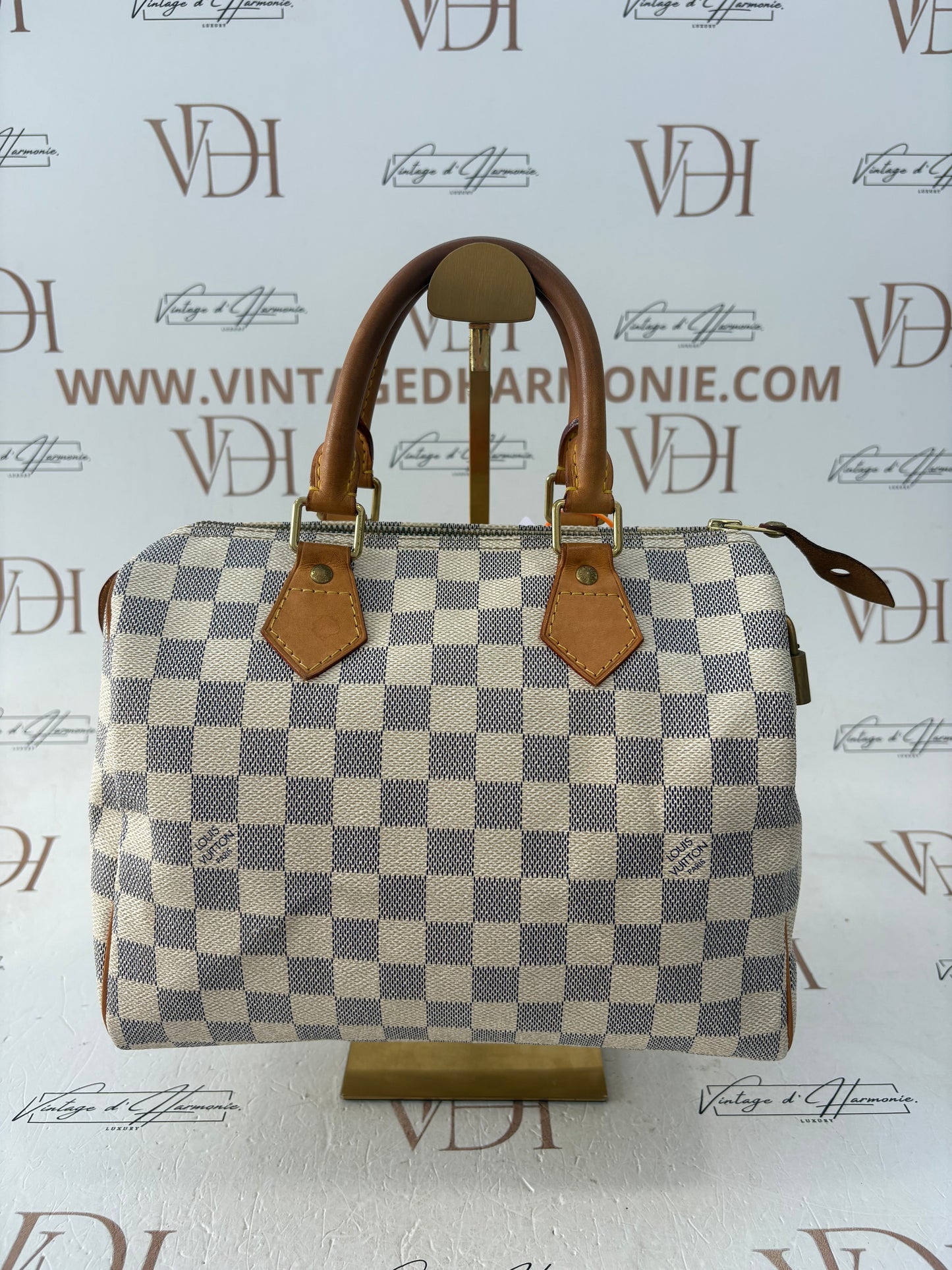 201768 - Louis Vuitton Speedy 25