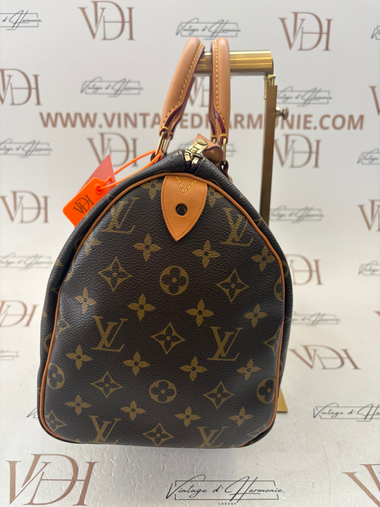 384207 - Louis Vuitton Speedy 30