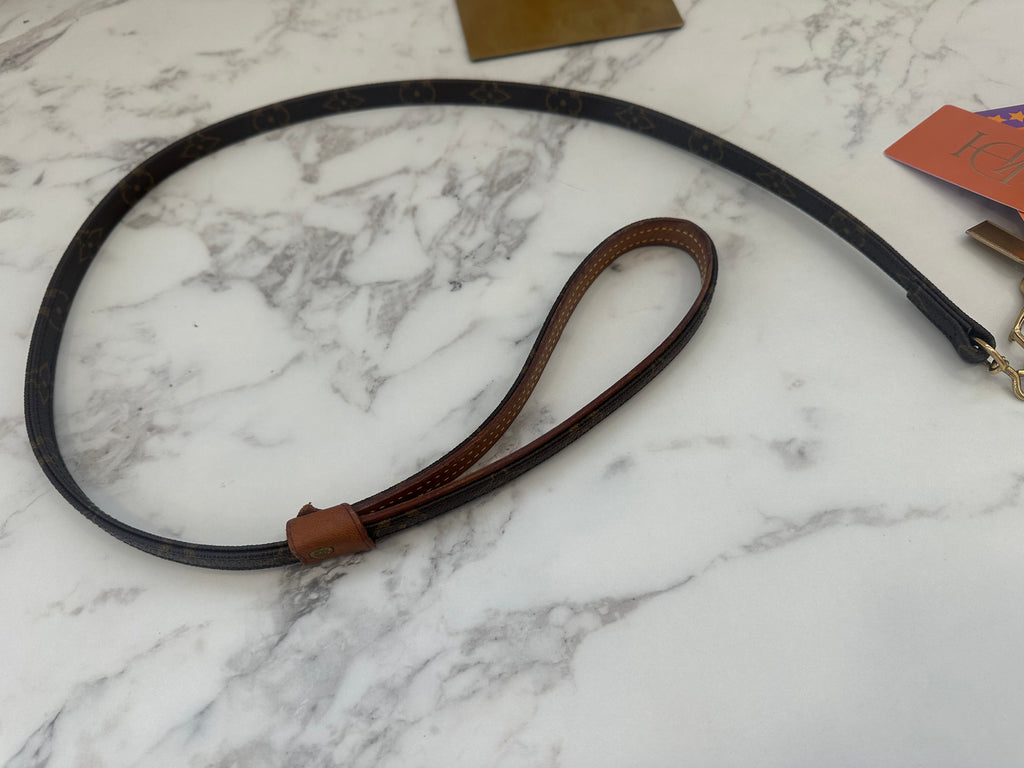 Louis Vuitton Collare+Guinzaglio