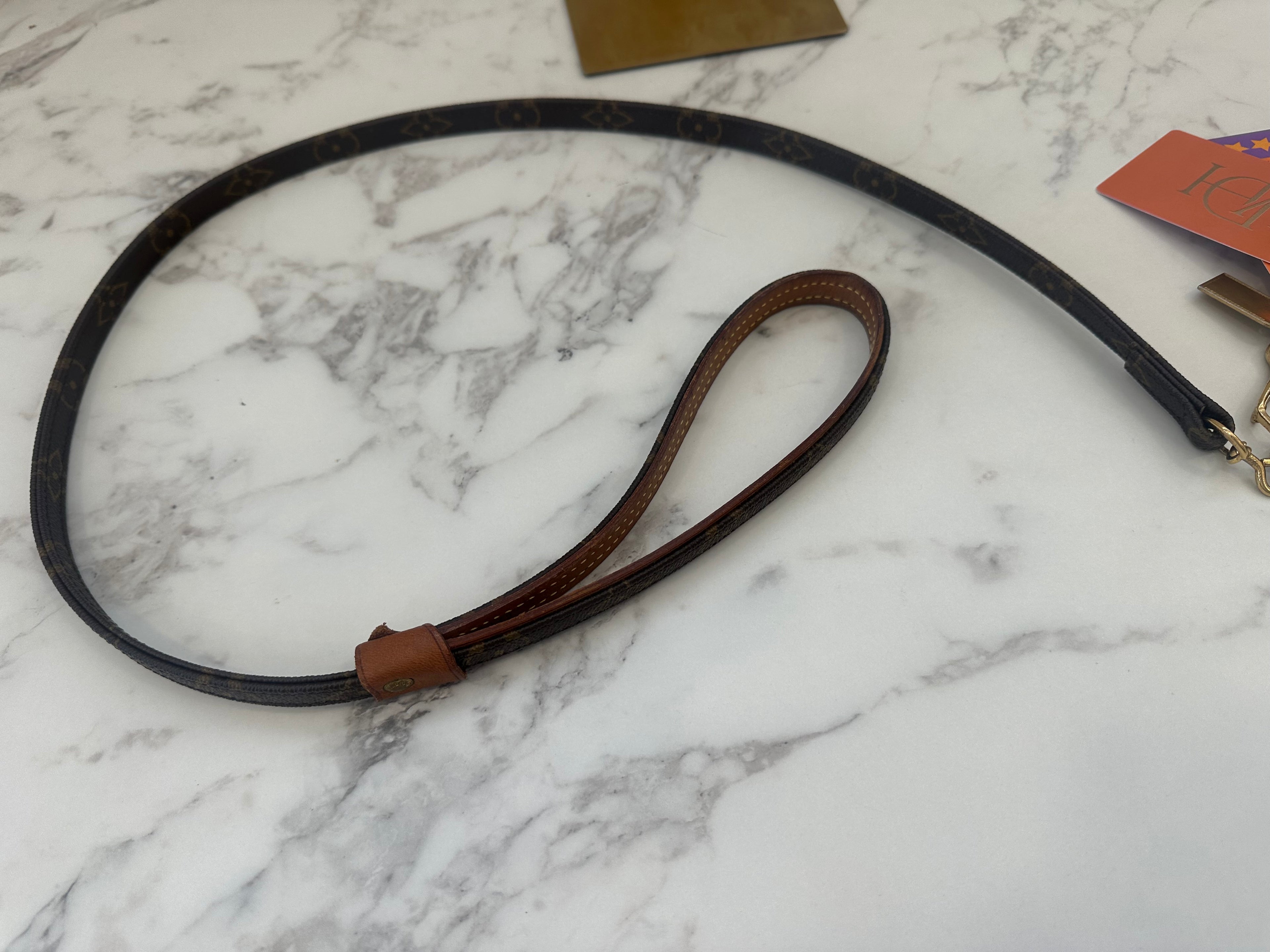 Louis Vuitton Collare+Guinzaglio