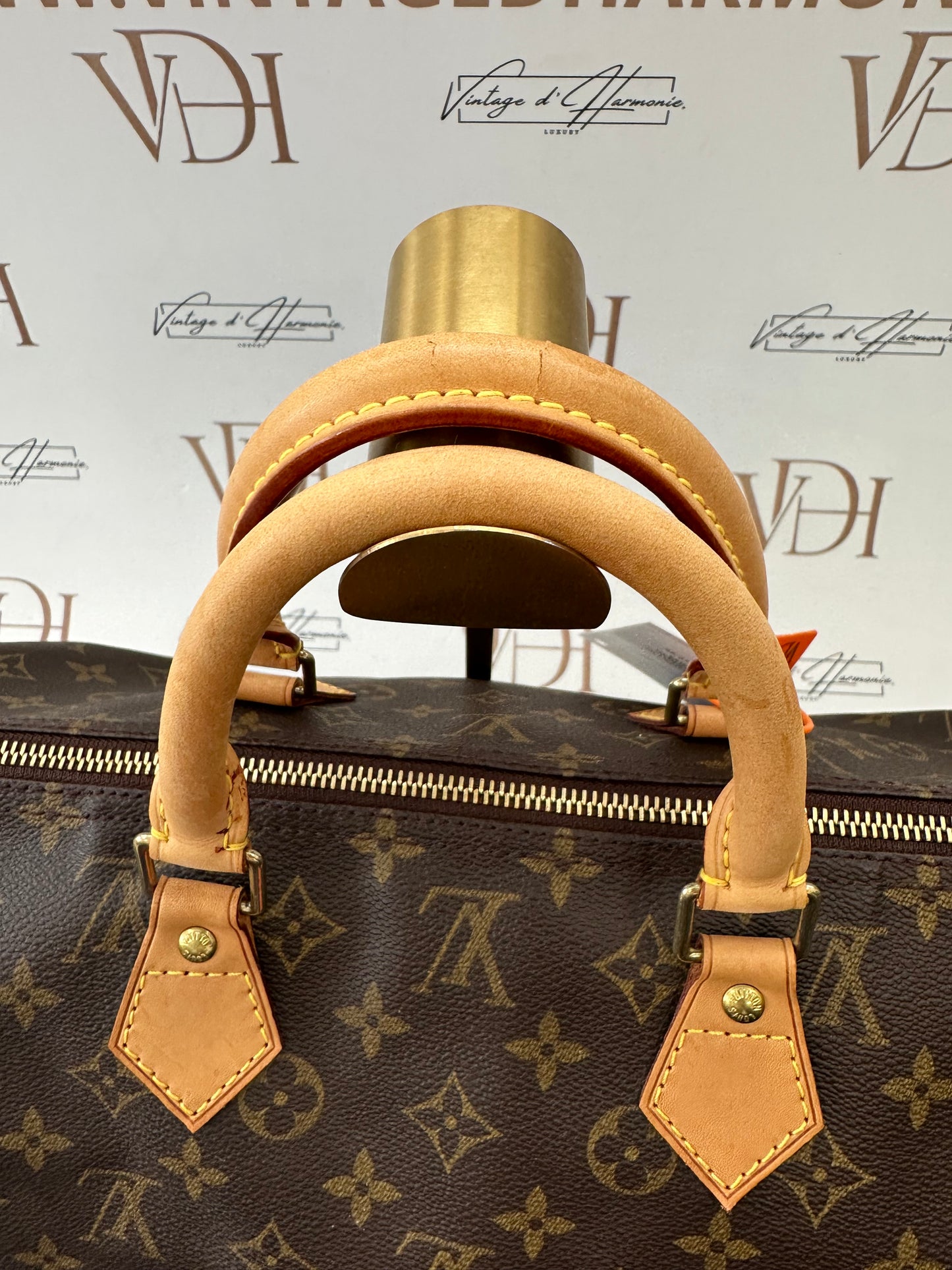 017920 - Louis Vuitton Speedy 40