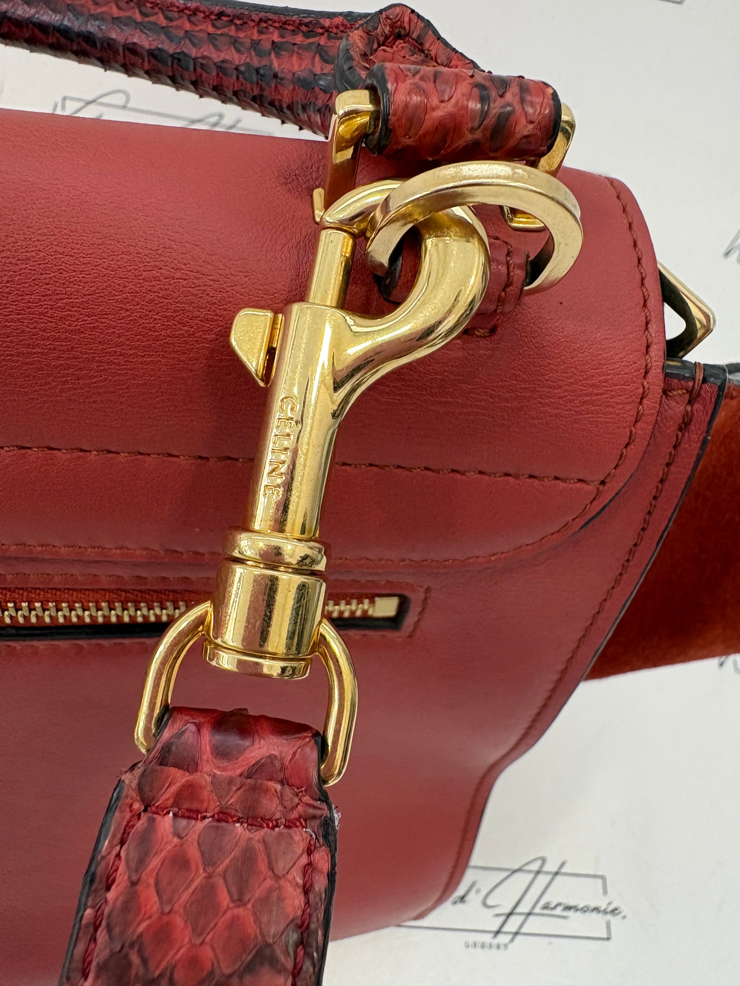 383239 - Céline Trapeze