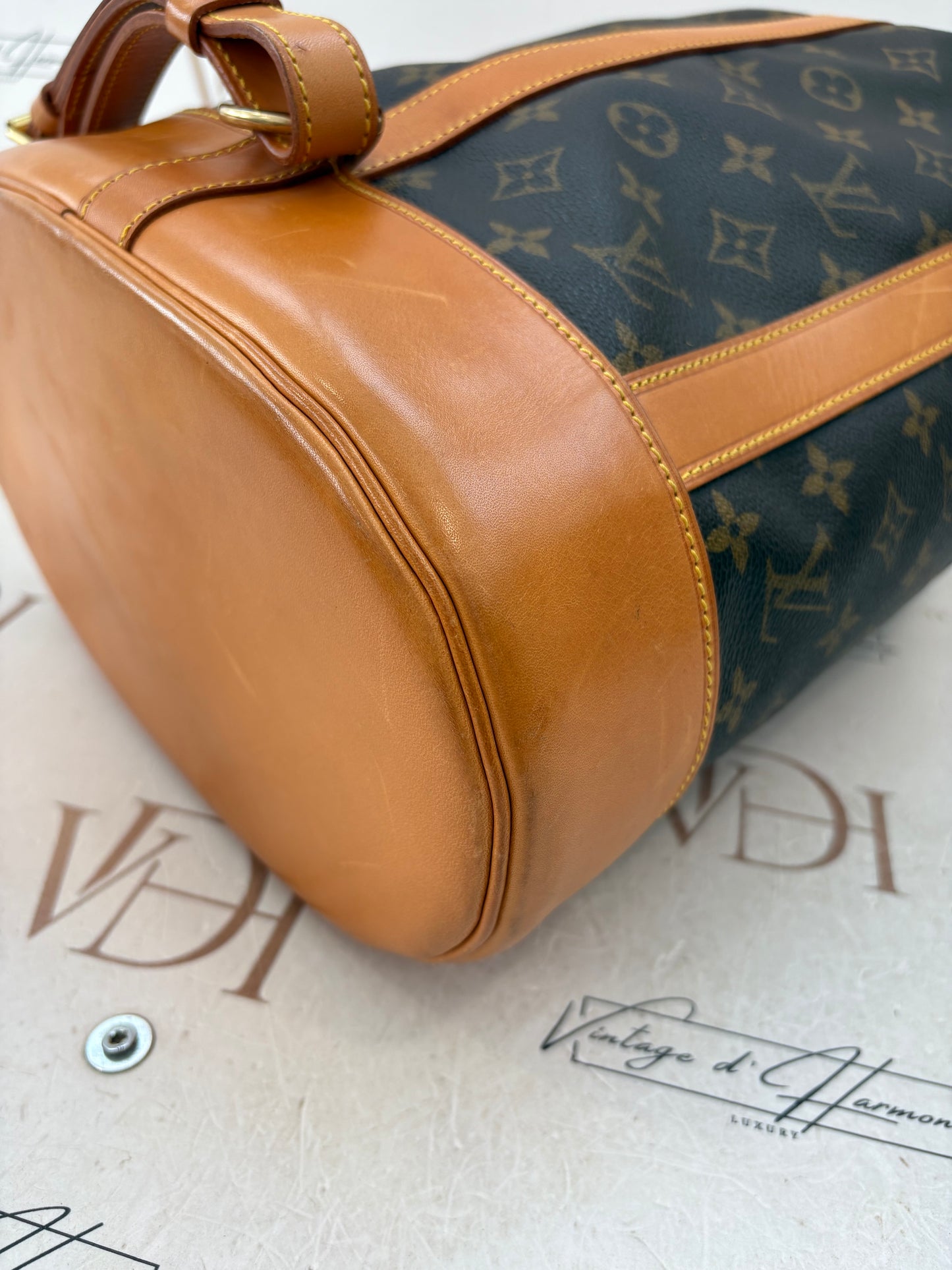 018345 - Louis Vuitton Randonne PM