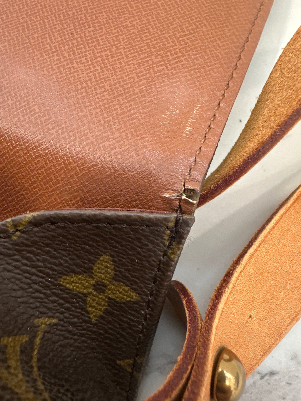 Louis Vuitton Cartouchiere GM