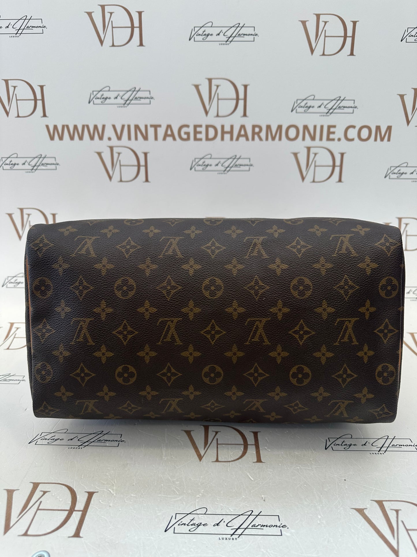 017863 - Louis Vuitton Speedy 35
