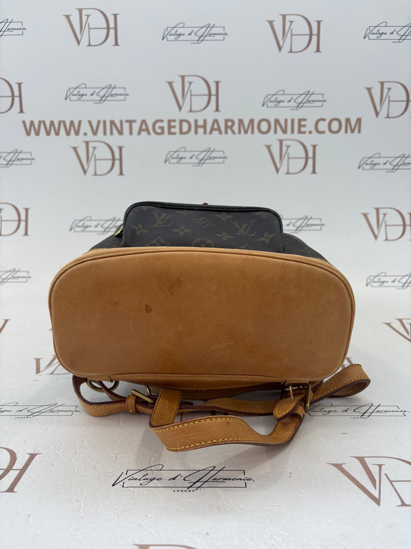 018056 - Louis Vuitton Montsouris MM