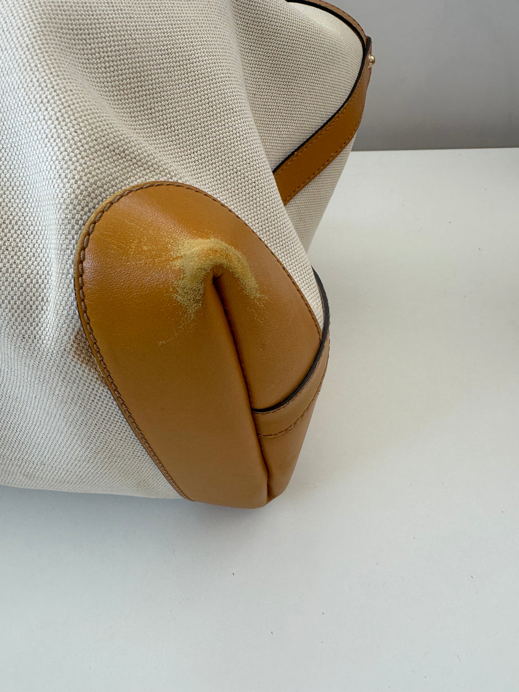 Gucci GG Canvas +pochette