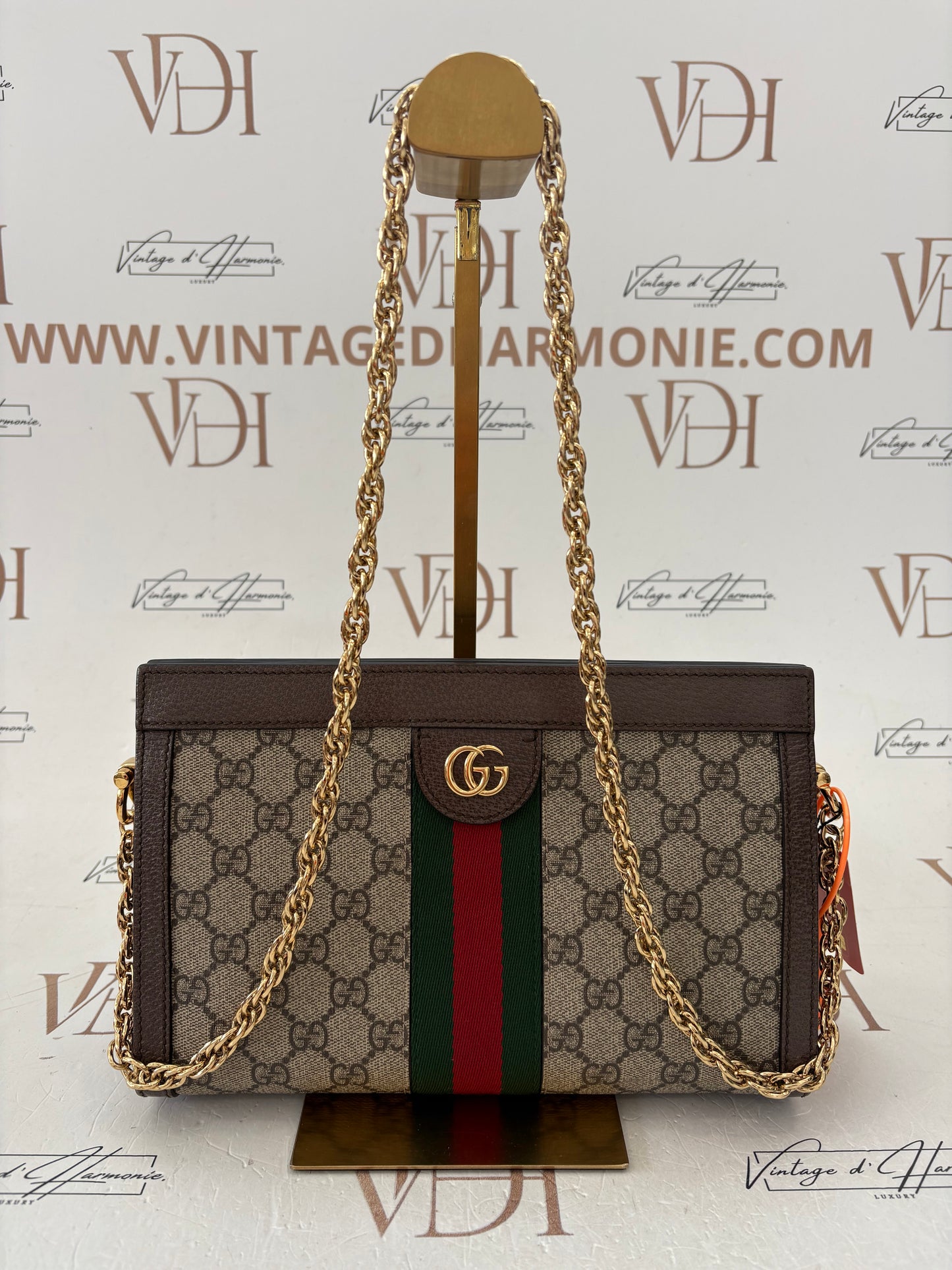 383956 - Gucci Ophidia