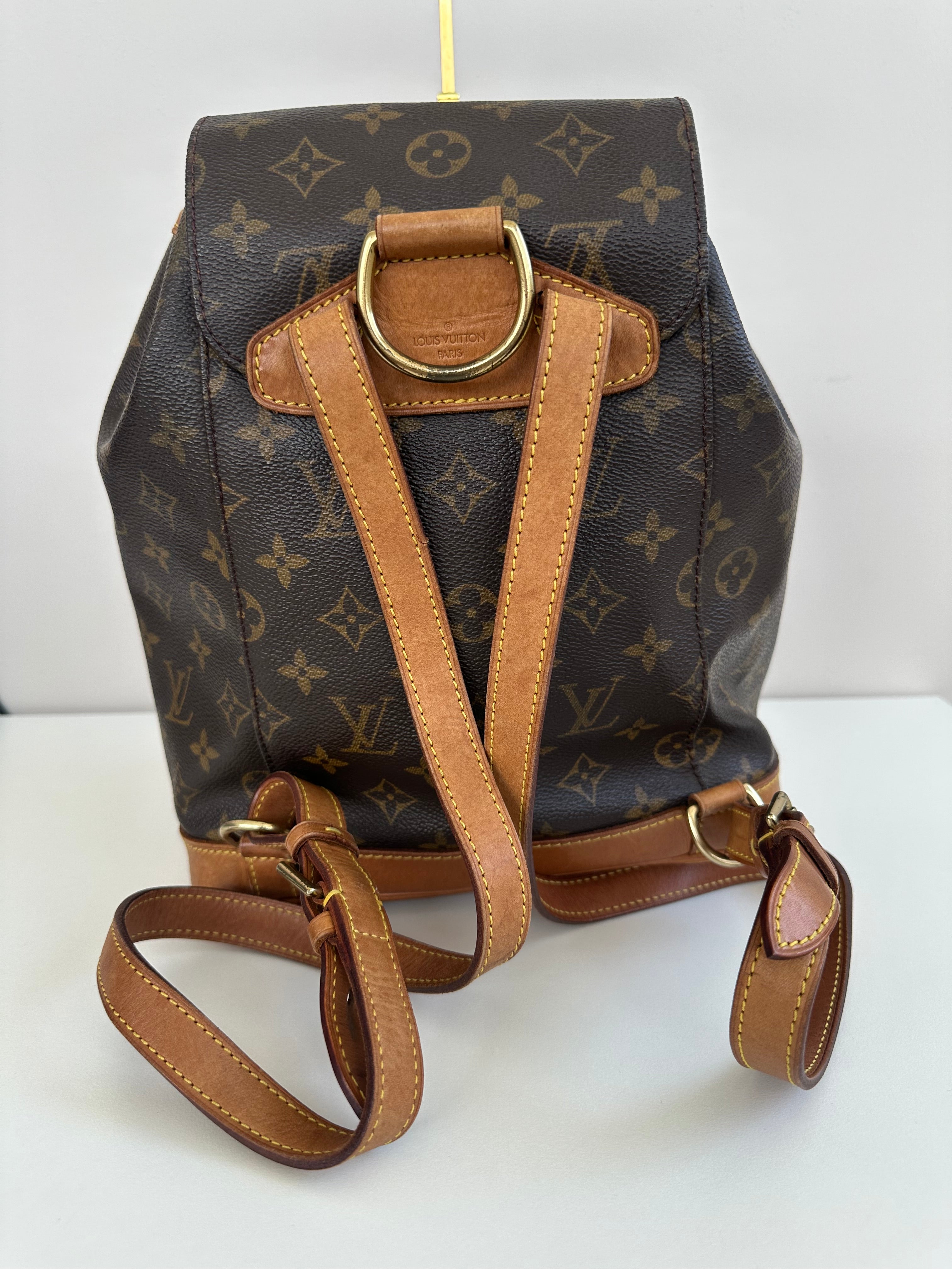 Louis Vuitton Montsouris MM