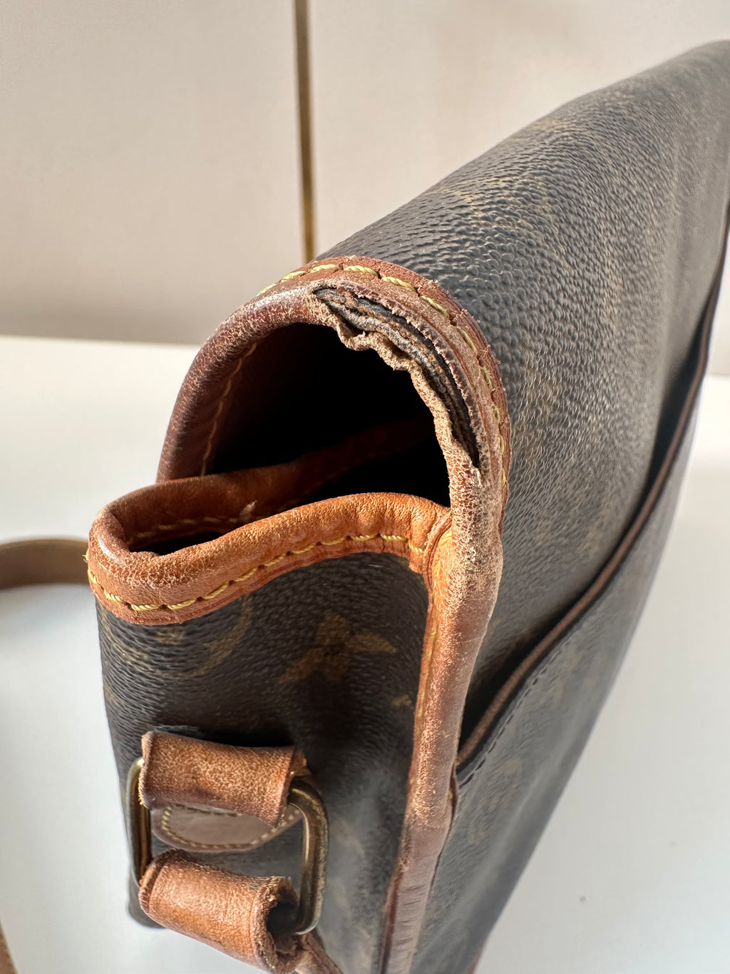 Louis Vuitton Gibeciere GM