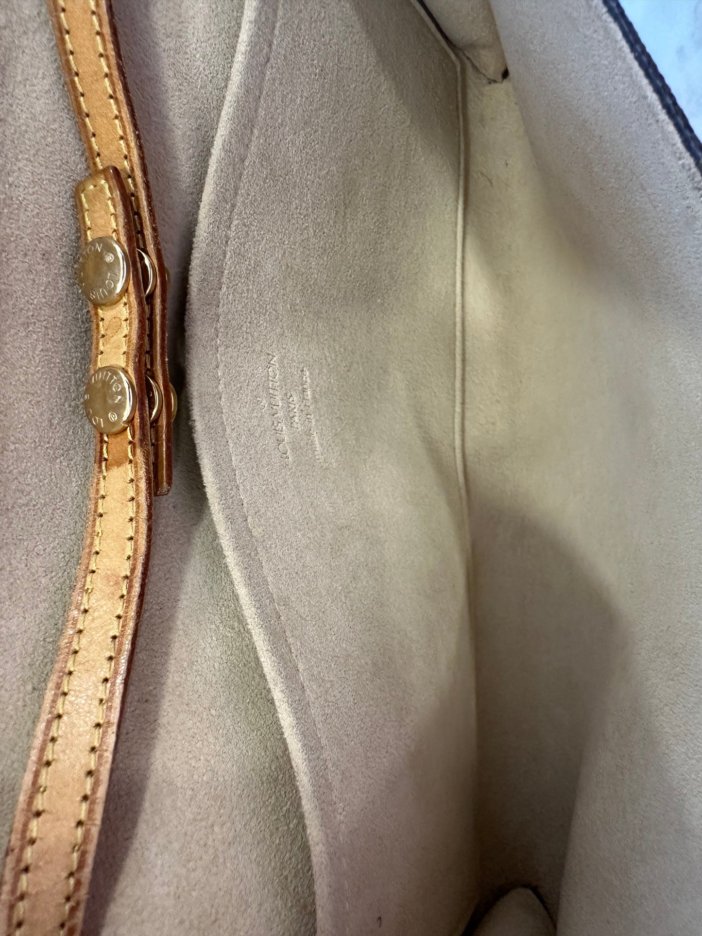 Louis Vuitton Pochette Twin GM