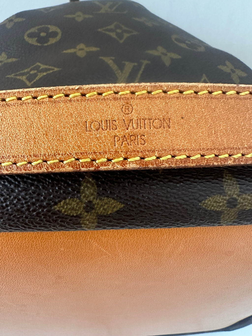 Louis Vuitton Petite Noé