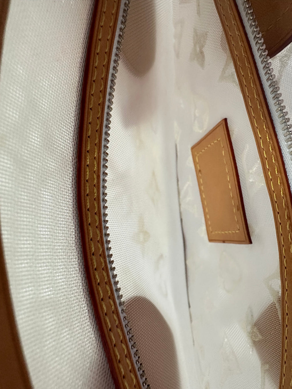 Louis Vuitton Blanc Monogram Transparent lockit east west