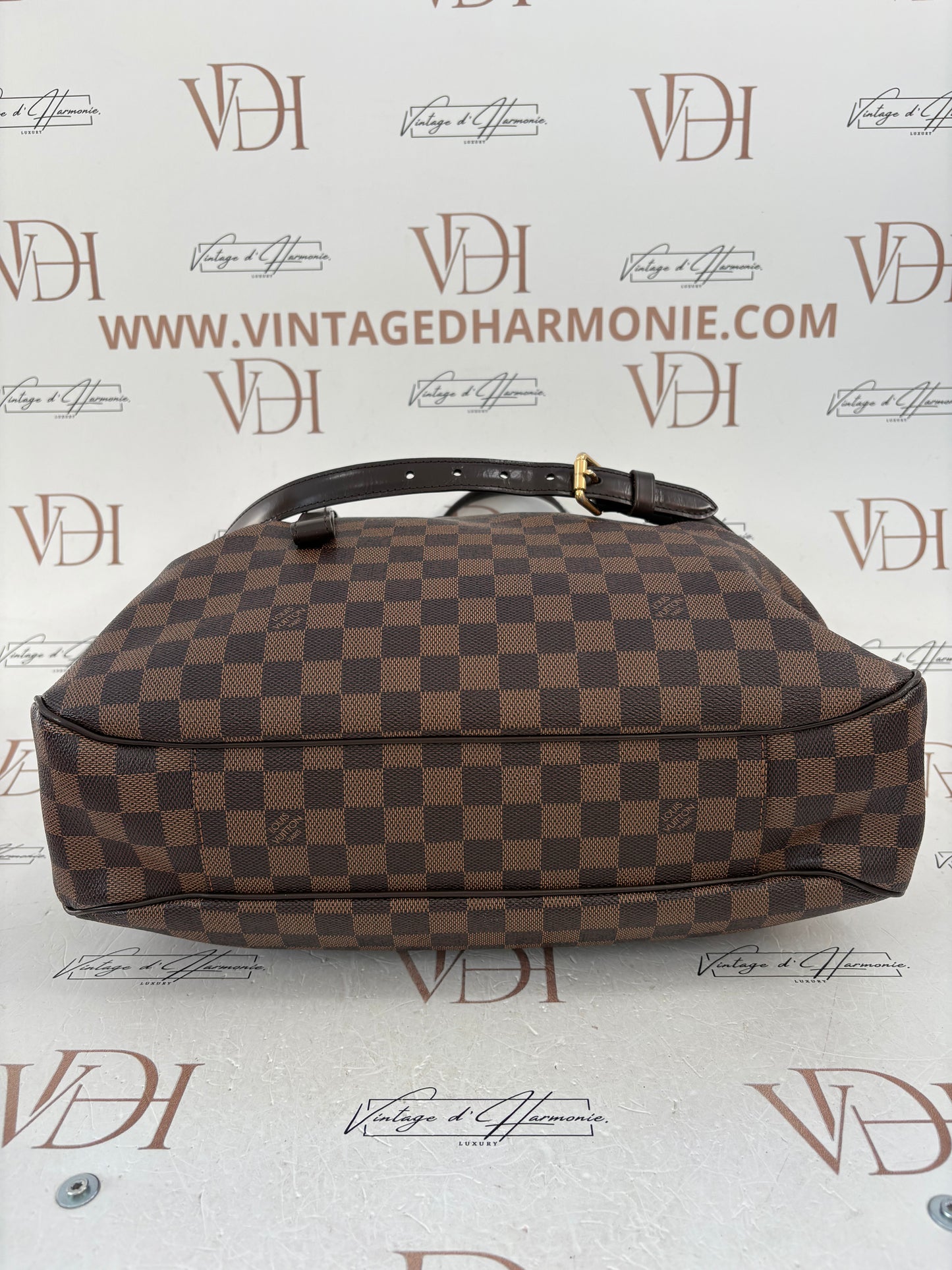 018528 - Louis Vuitton Damier Evora MM