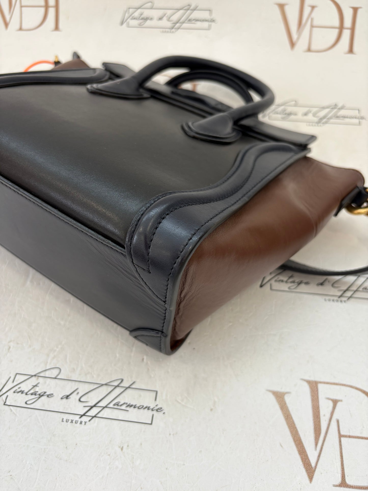 201656 - Céline Nano