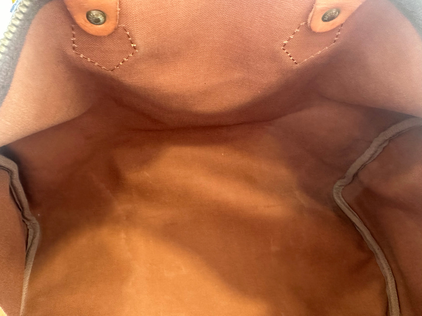 Louis Vuitton Speedy 35