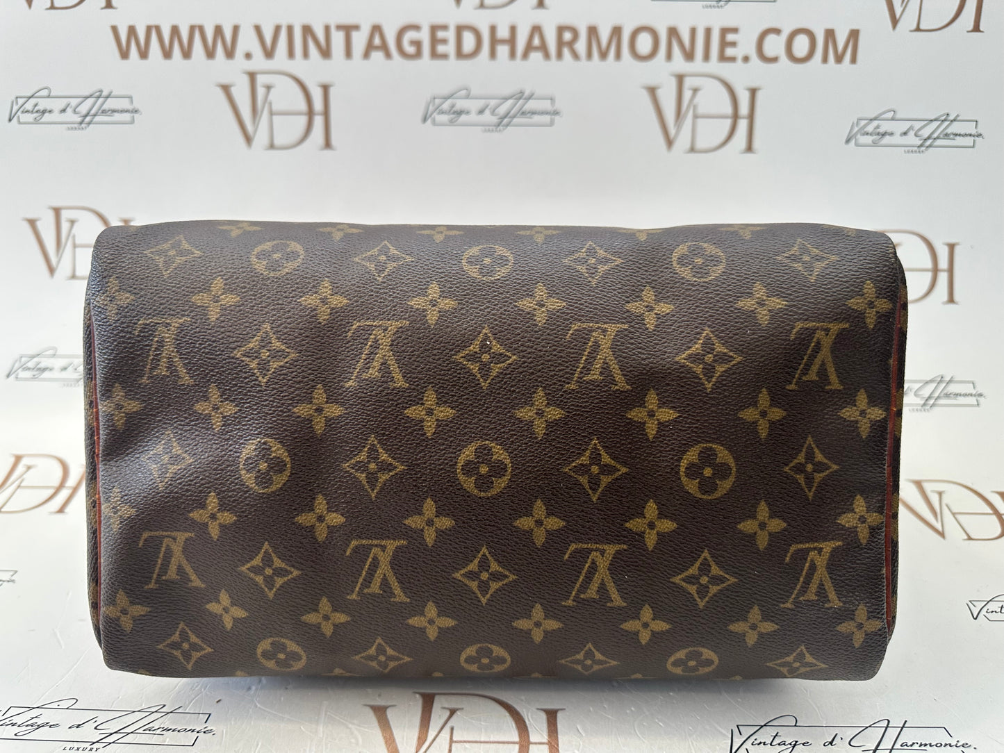 016863 - Louis Vuitton Speedy 30