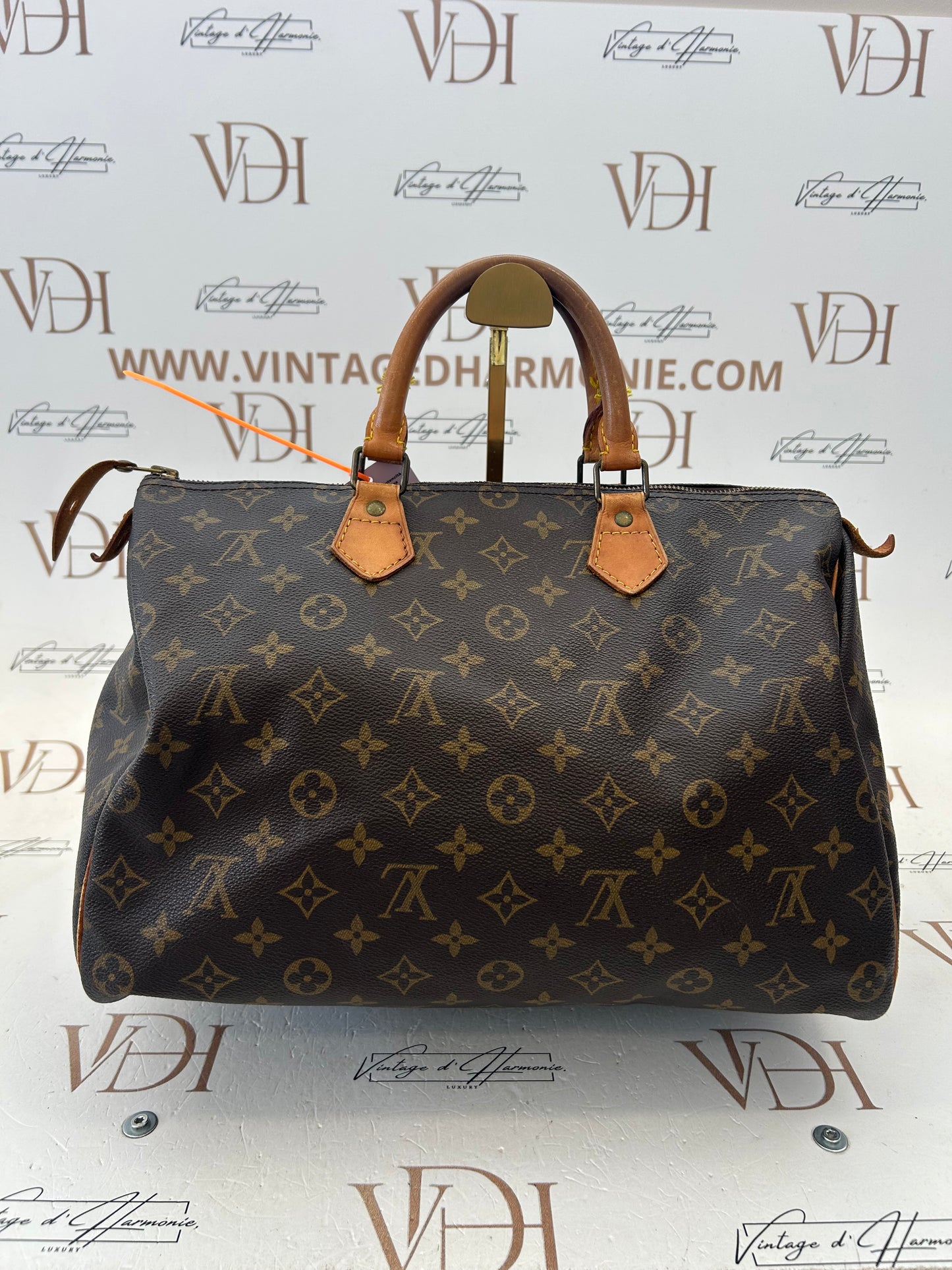 018315 - Louis Vuitton Speedy