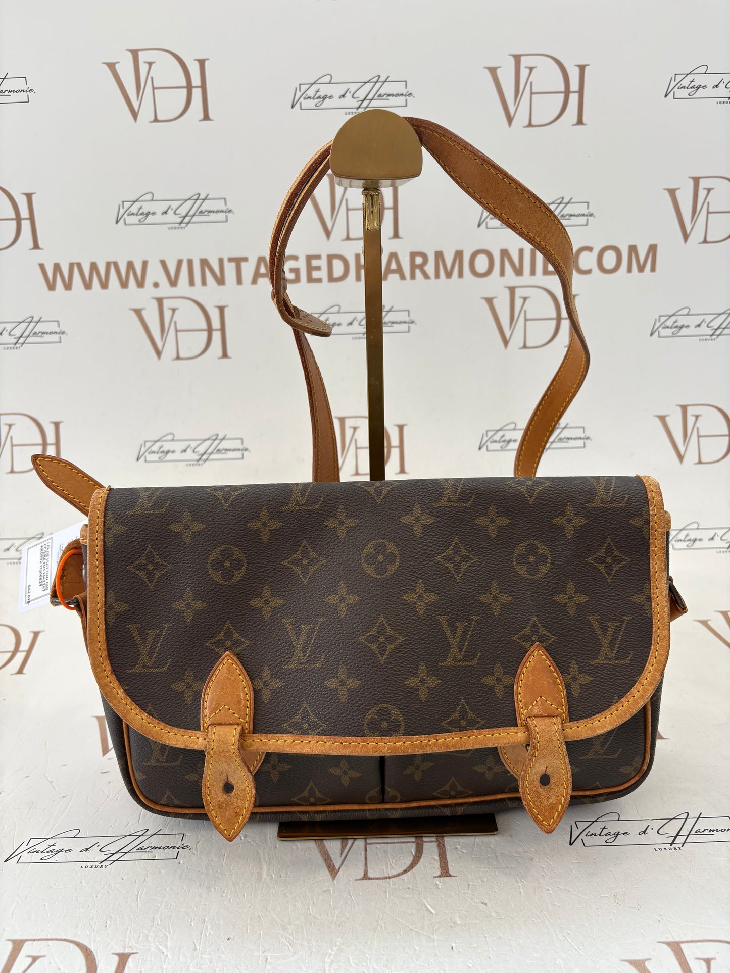 018262 - Louis Vuitton Gibeciere MM
