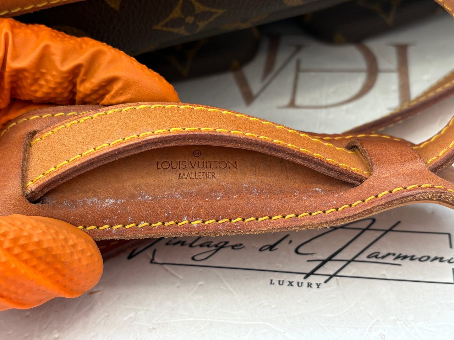 018966 - Louis Vuitton Gibeciere