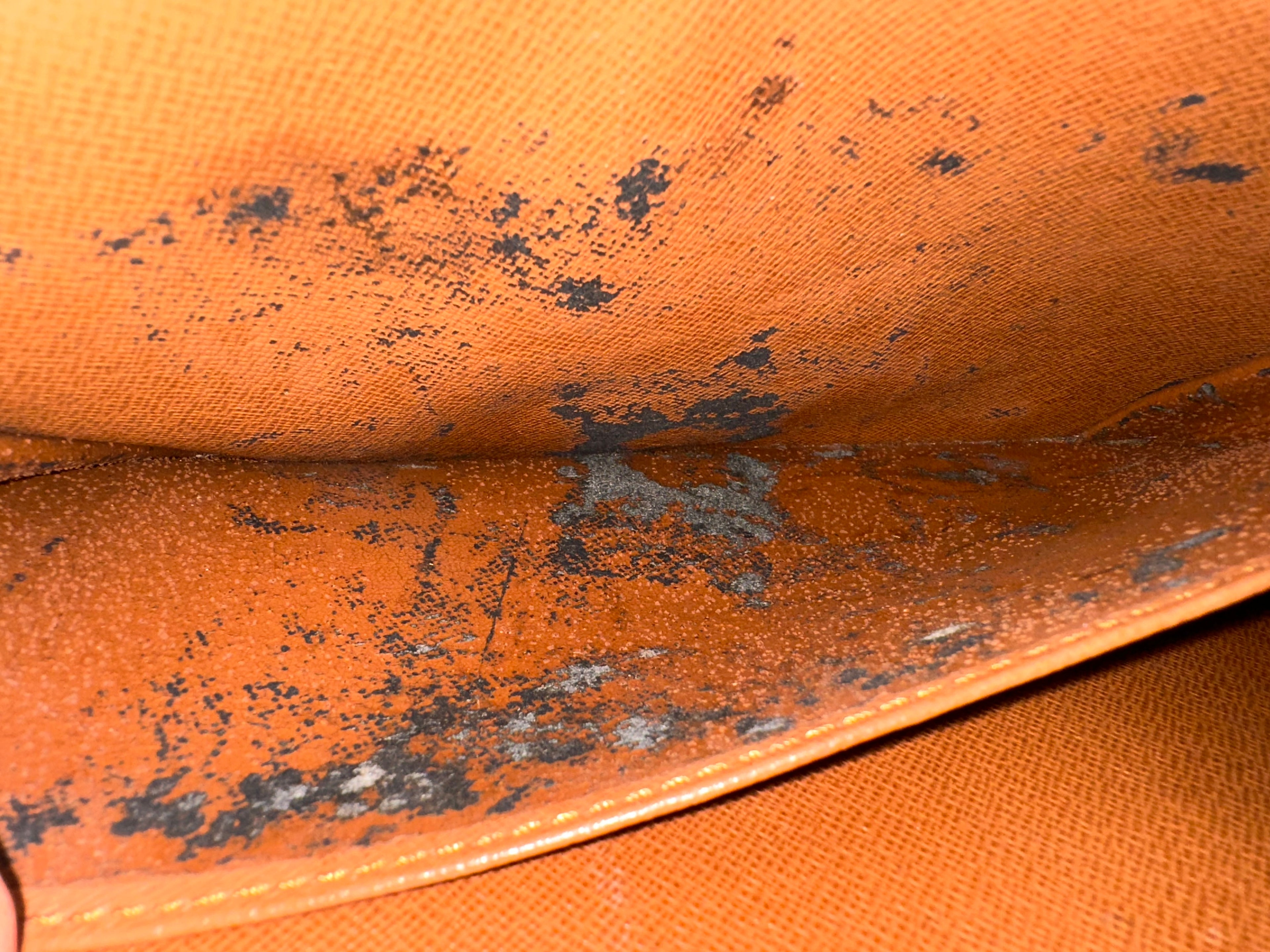 Louis Vuitton Concorde