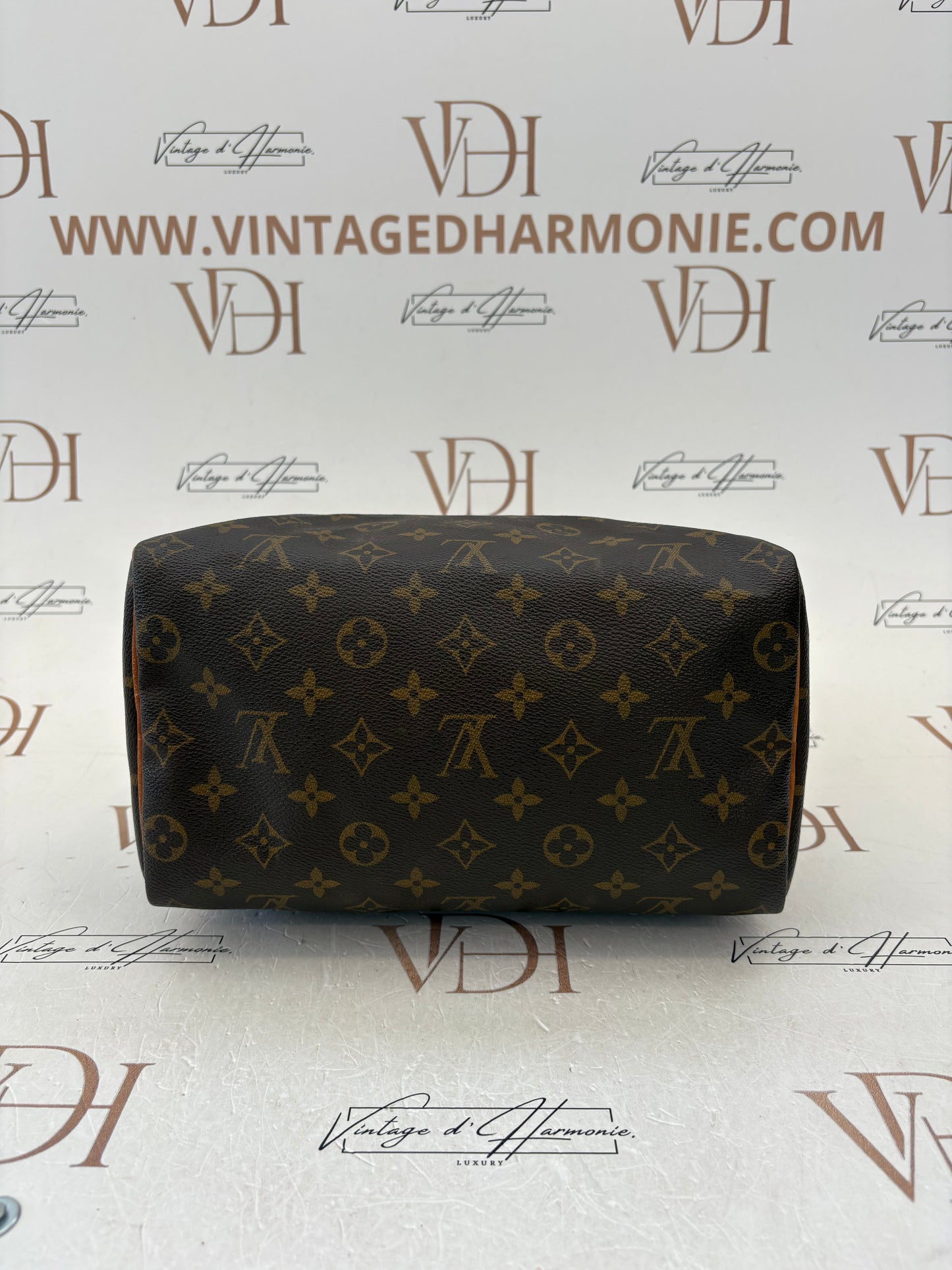 018758 - Louis Vuitton Speedy 25