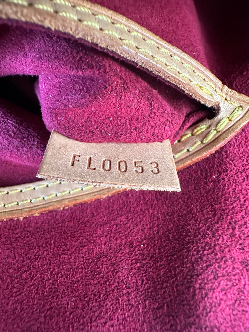 Louis Vuitton Alma Multicolor