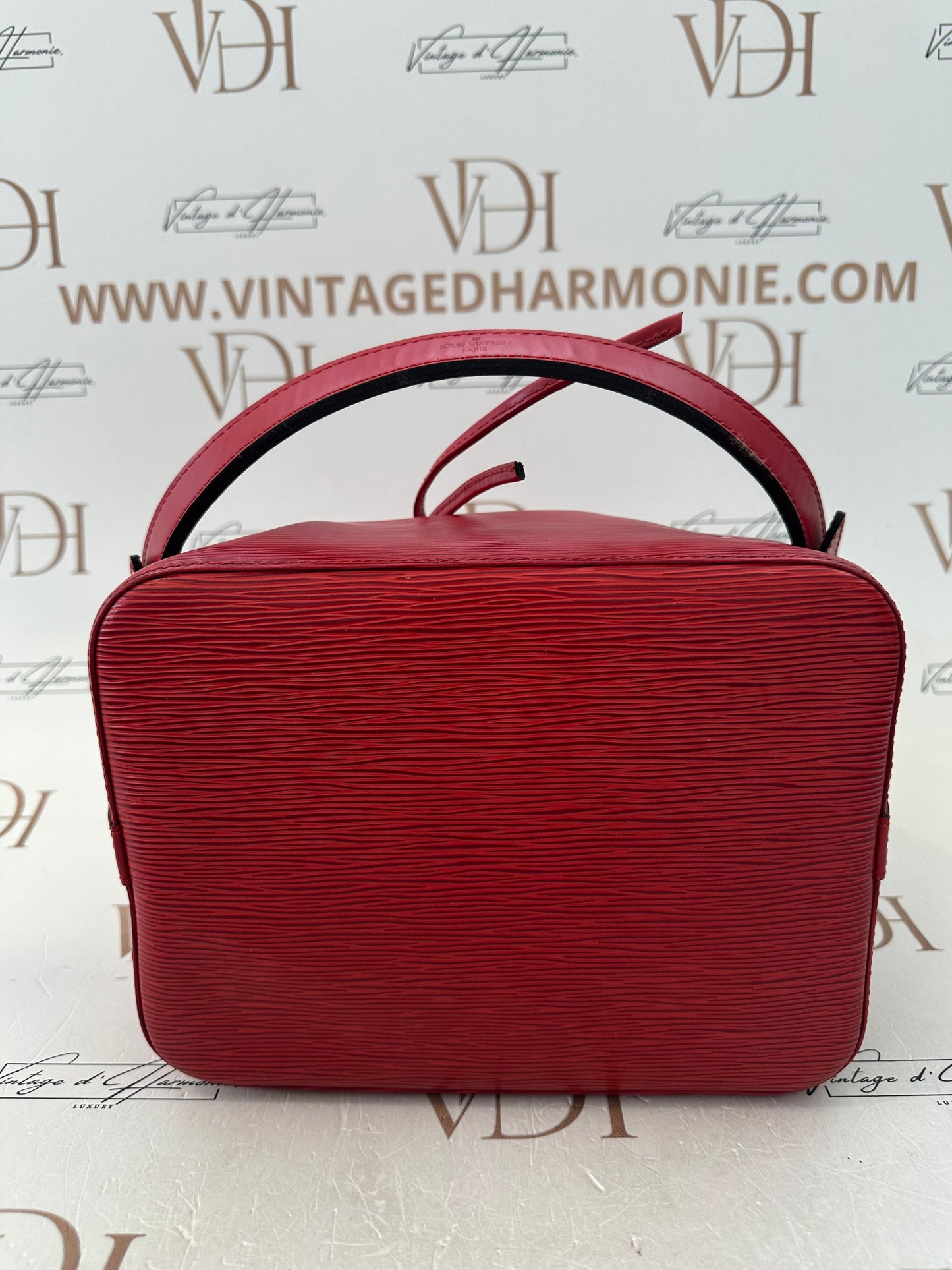 017933 - Louis Vuitton Red Epi Noè
